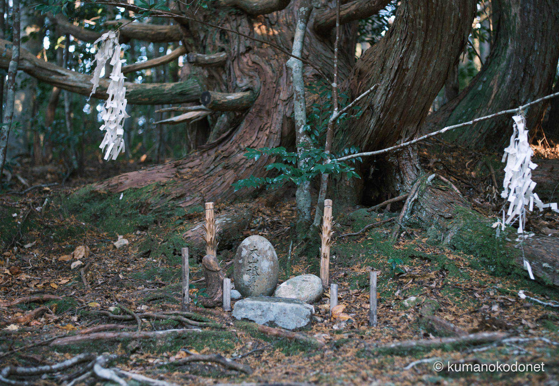 千十檜の根元にある山の神の祭壇