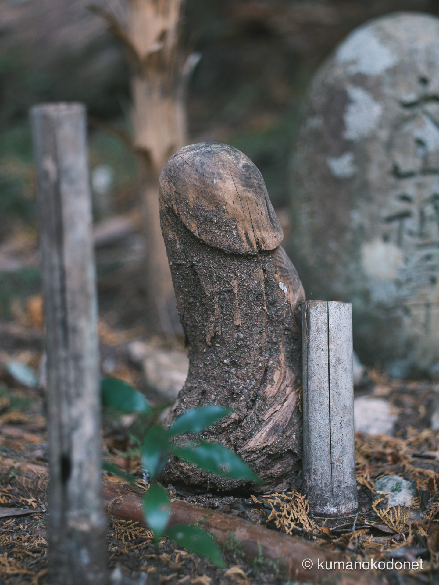 大山祇尊に供えられた木彫りの奉納品。女性の神様を鎮めるための独特な信仰の形。｜ Secret Place of Kumano ｜ FUJIFILM GFX Classic Neg.｜ 2026