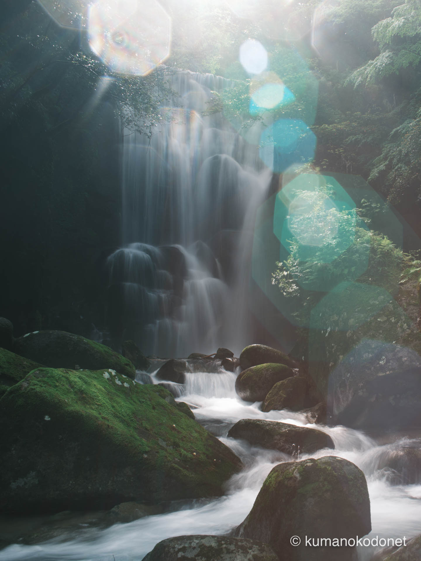 神々しい光芒が射し込む、決定的な瞬間の桑ノ木の滝。新宮の自然エネルギー。| Kuwanoki Falls, Shingu, Wakayama | FUJIFILM GFX Classic Neg. | 2025