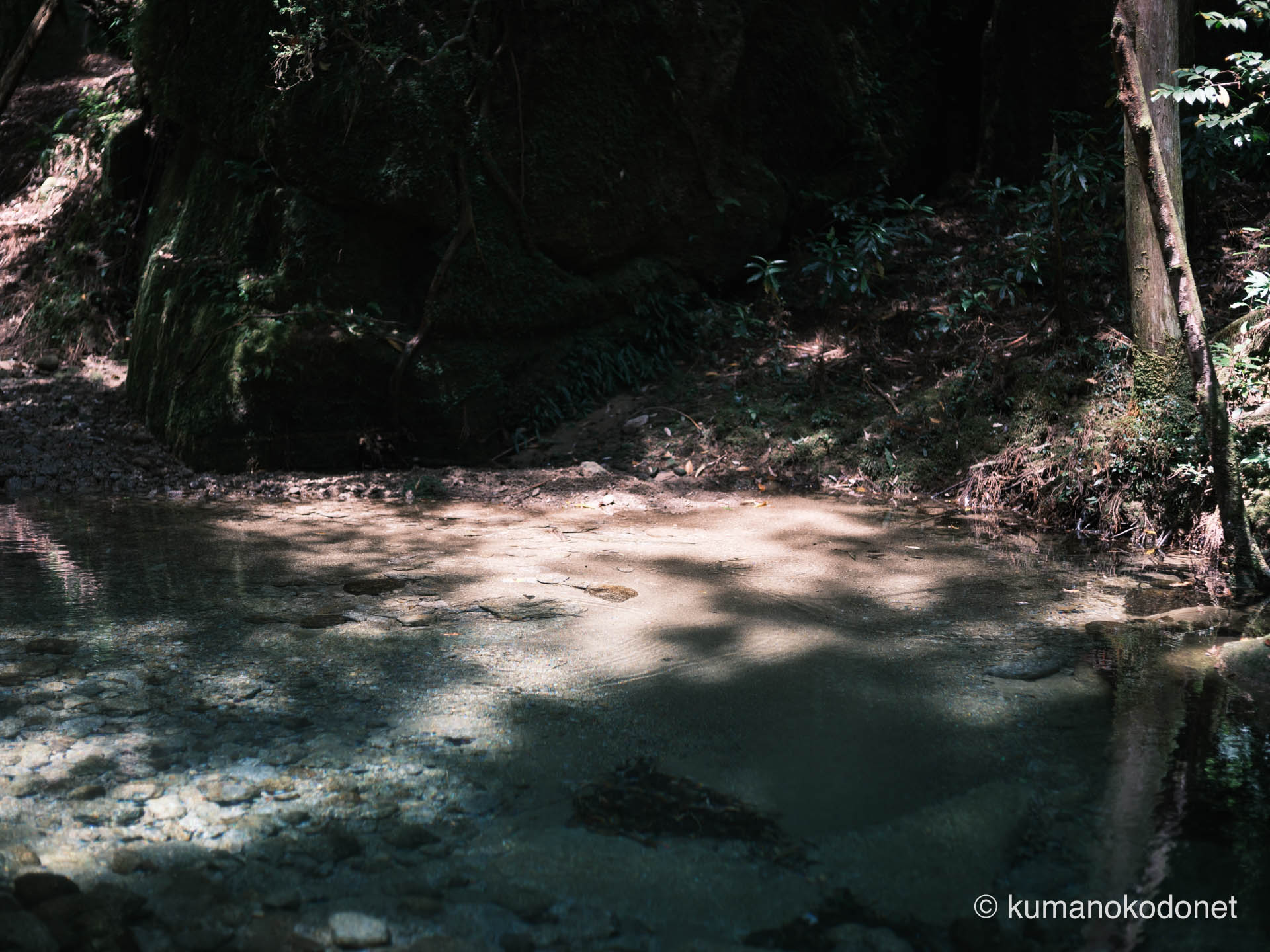 桑の木谷川の清冽な水面。新宮の自然が織りなす純粋な輝き。| Kuwanokidani-gawa River, Shingu, Wakayama | FUJIFILM GFX Classic Neg. | 2025