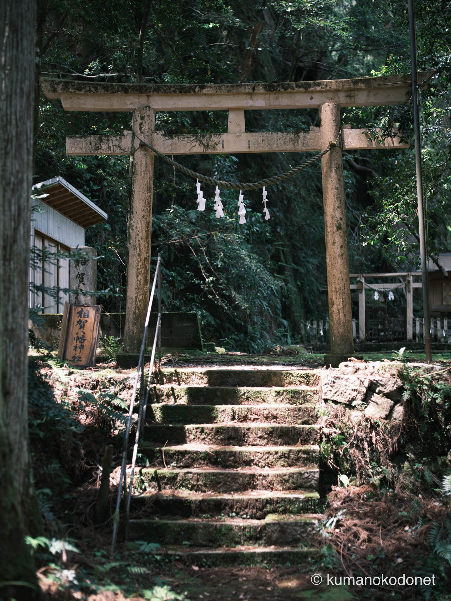 桑ノ木の滝の近隣に鎮座する相賀八幡神社。新宮市の歴史を刻む静謐な空間。| Ouga Hachiman Jinja, Shingu, Wakayama | FUJIFILM GFX Classic Neg. | 2025