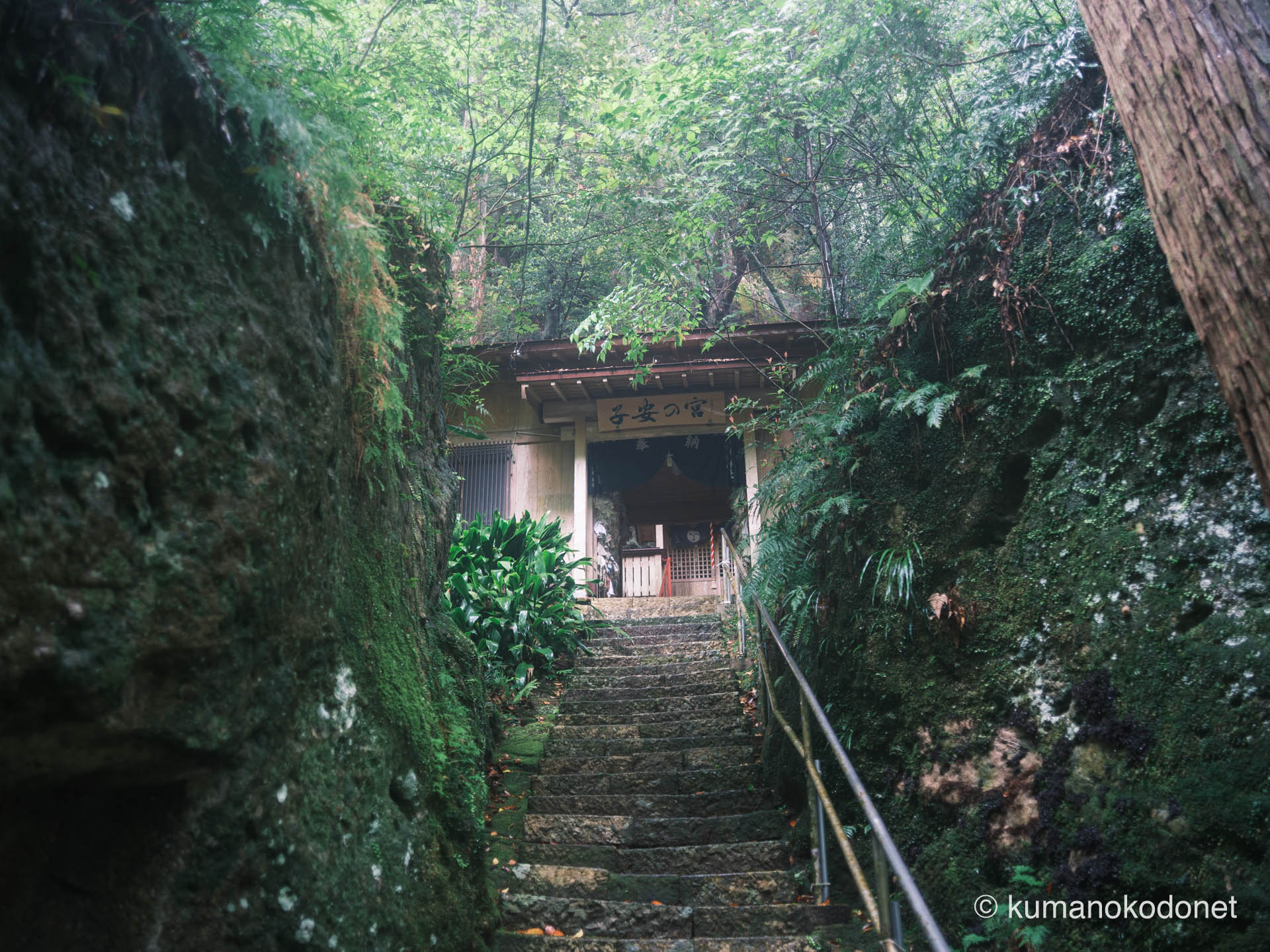 神内神社 | 岩壁の狭間に位置する石段と拝殿の遠景 | 三重県紀宝町 | 2026 | KVA | kumanokodonet