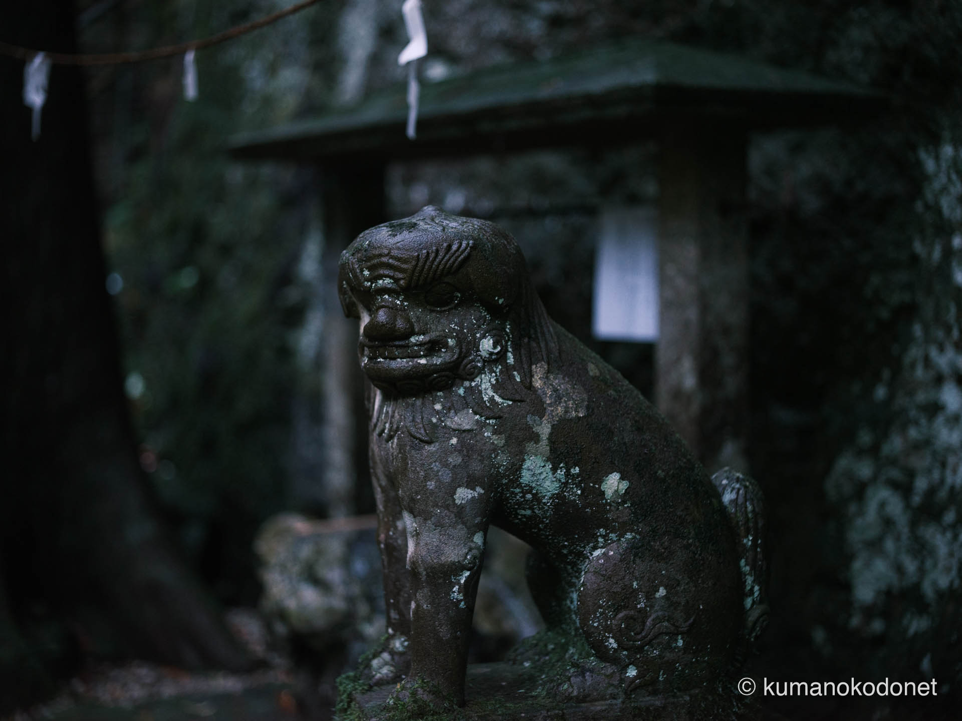 神内神社の狛犬。聖域を守護するその姿を鮮明に描き出した一枚。｜ Kounouchi Jinja, Kiho, Mie ｜ FUJIFILM GFX Classic Neg. ｜ 2025