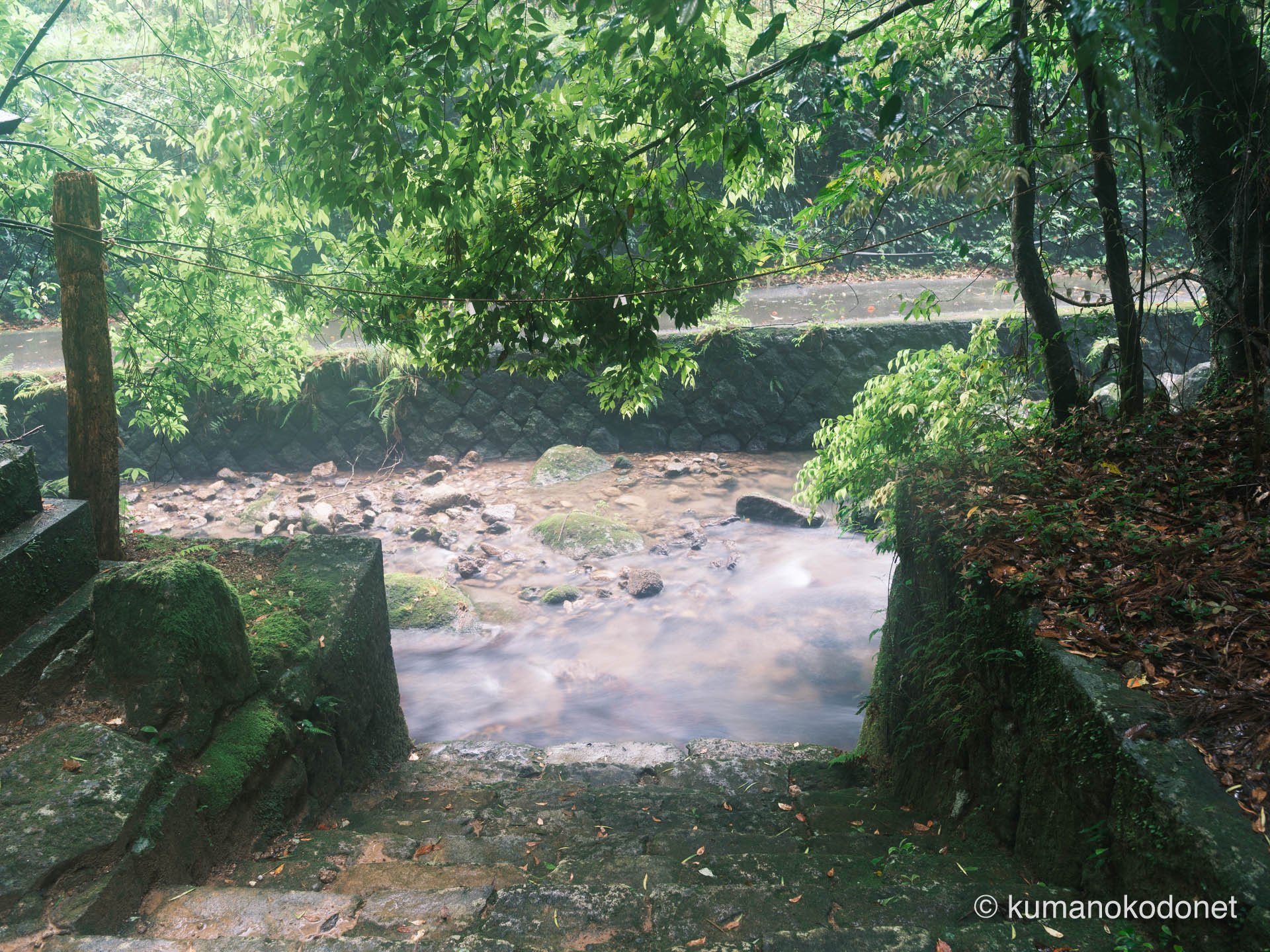 参道を流れる神内川（Kounouchi River）と、その清流をいただく御手洗場（みたらいば）。聖域の境界に満ちる静謐な質感を記録。｜ Kounouchi Jinja, Kiho, Mie ｜ FUJIFILM GFX Classic Neg. ｜ 2025