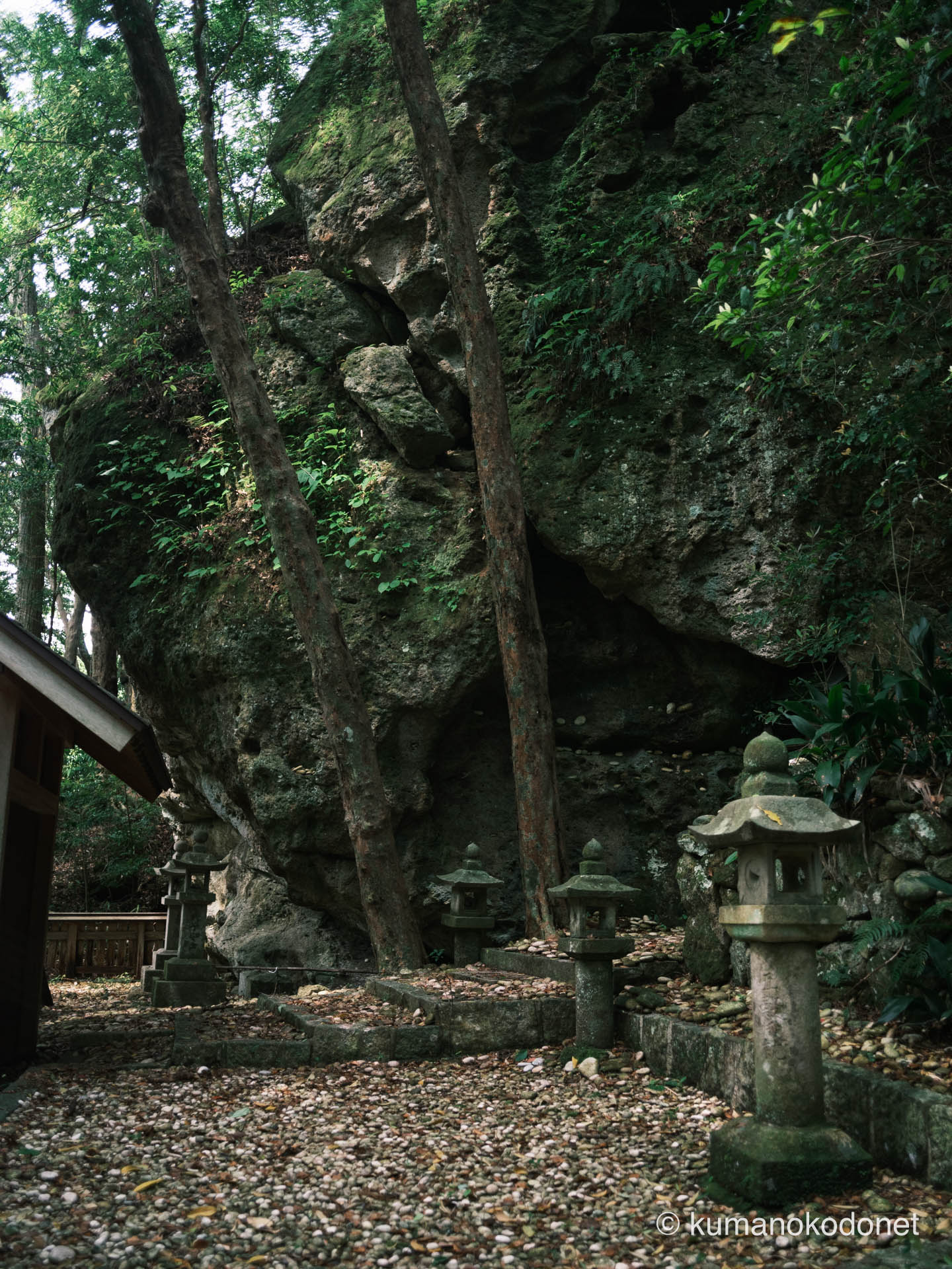 神内神社 | 剥き出しの岩肌と周囲の樹木が一体化した磐座の姿 | 三重県紀宝町 | 2026 | KVA | kumanokodonet