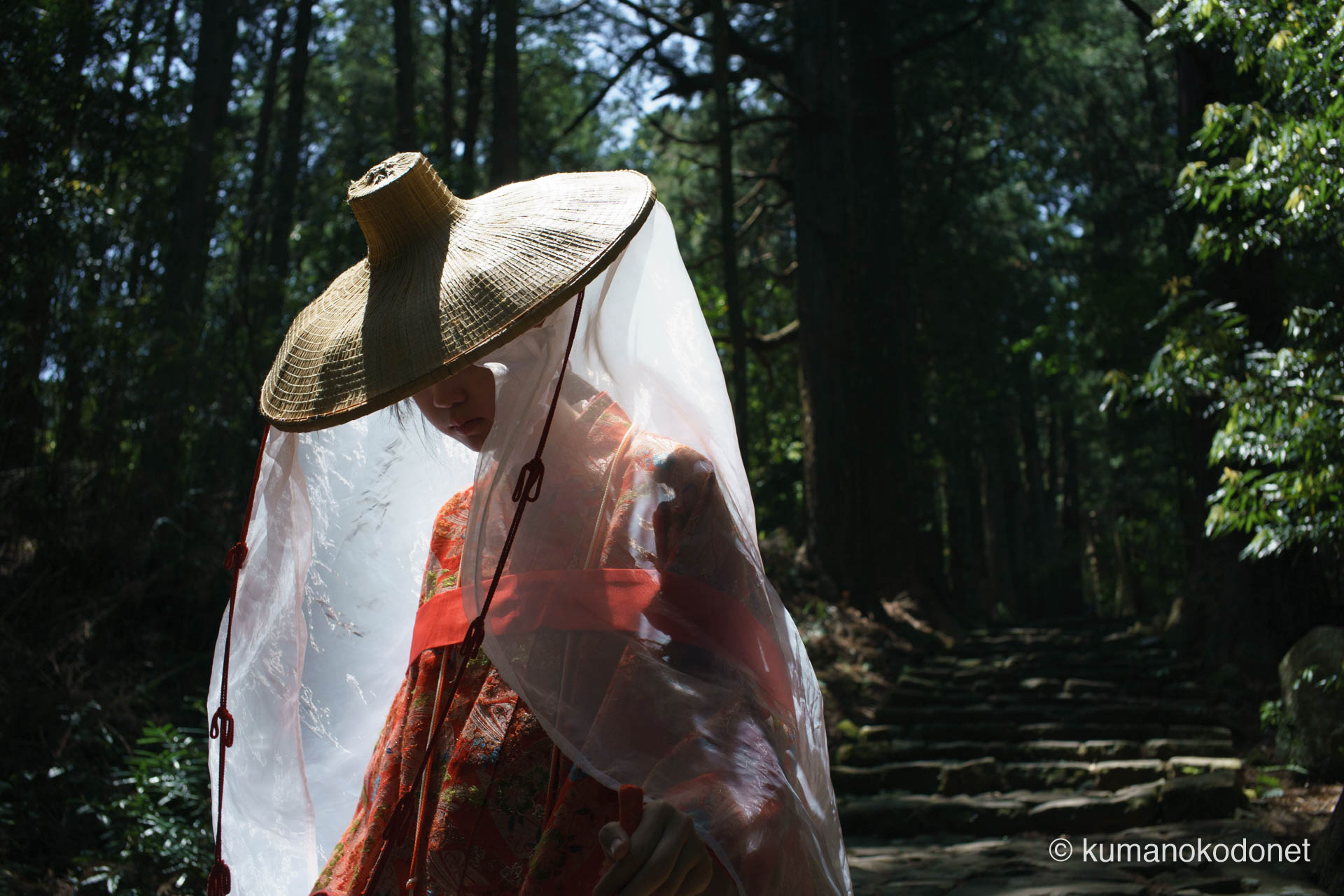 大門坂の巨木の間を下る平安衣装の女性。古道の幻想を記録した一枚。| Daimonzaka, Nachikatsuura, Wakayama | SONY α7 | 2025
