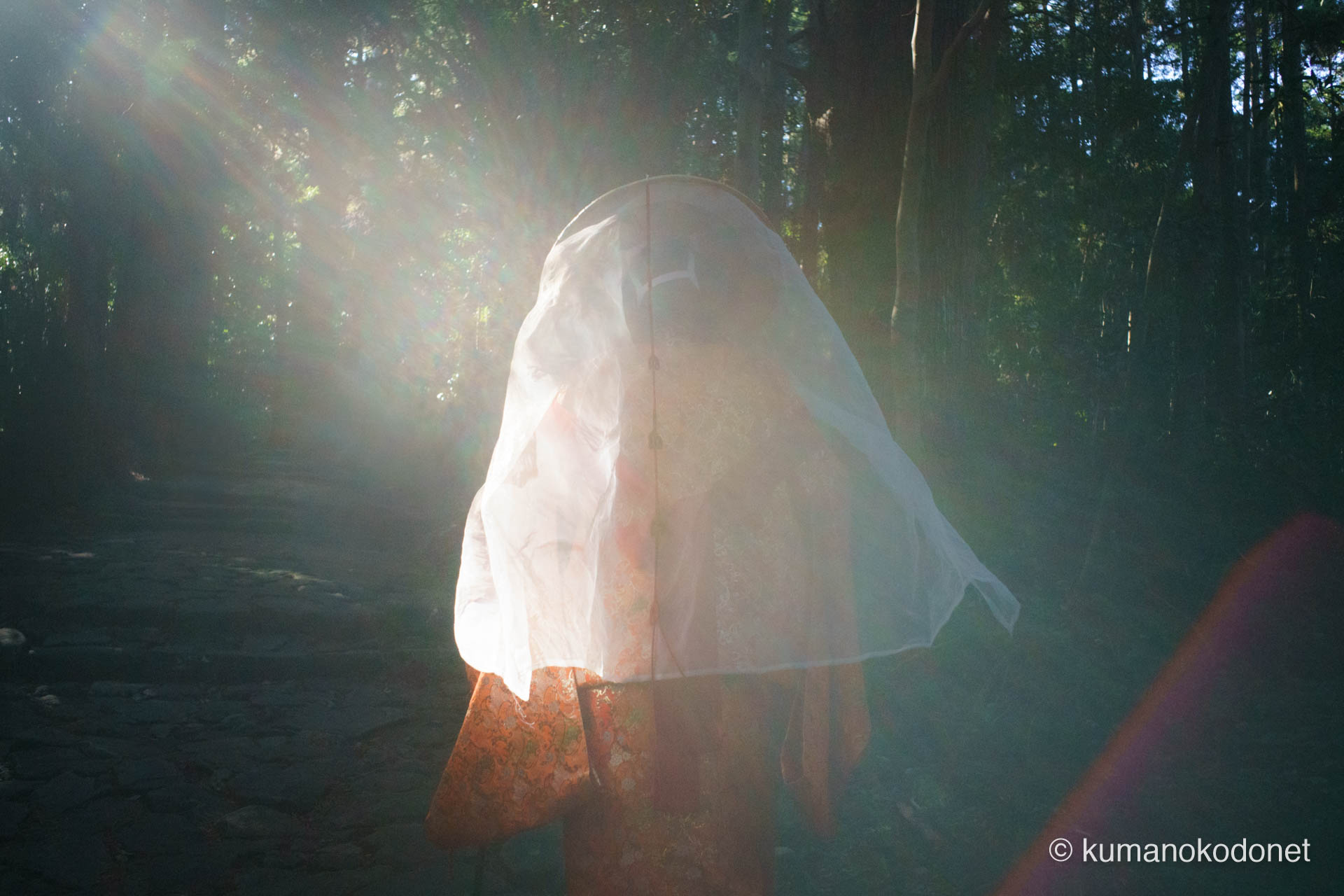 色彩豊かな逆光の中を登る平安衣装。聖地へ続く道を幻想的に表現。| Daimonzaka, Nachikatsuura, Wakayama | SONY α7 | 2025