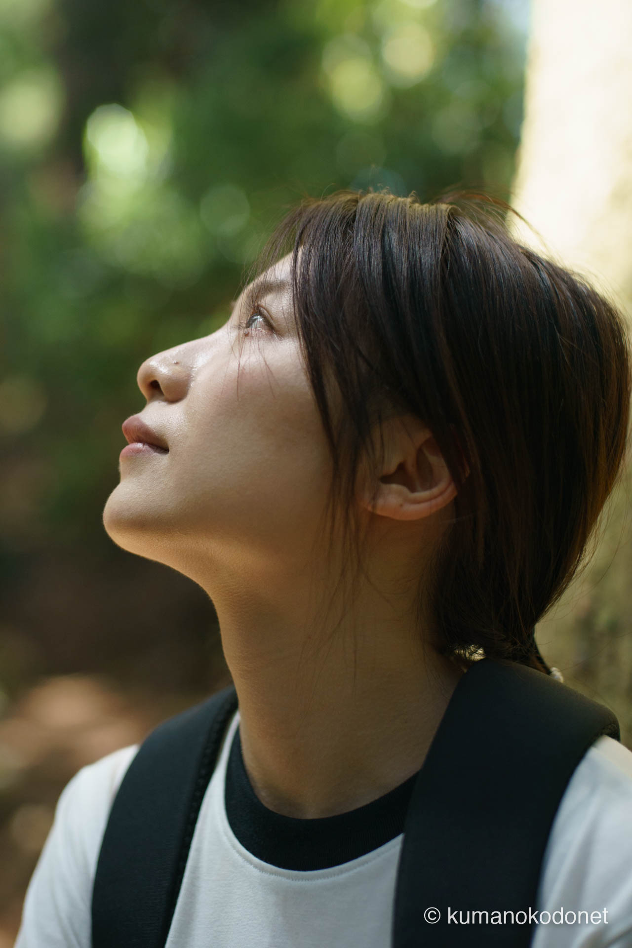 巨木の間から降り注ぐ光を見上げる。大門坂の自然と心を通わせた瞬間。那智勝浦町にて。 | Daimonzaka, Nachikatsuura, Wakayama | SONY α7 | 2025