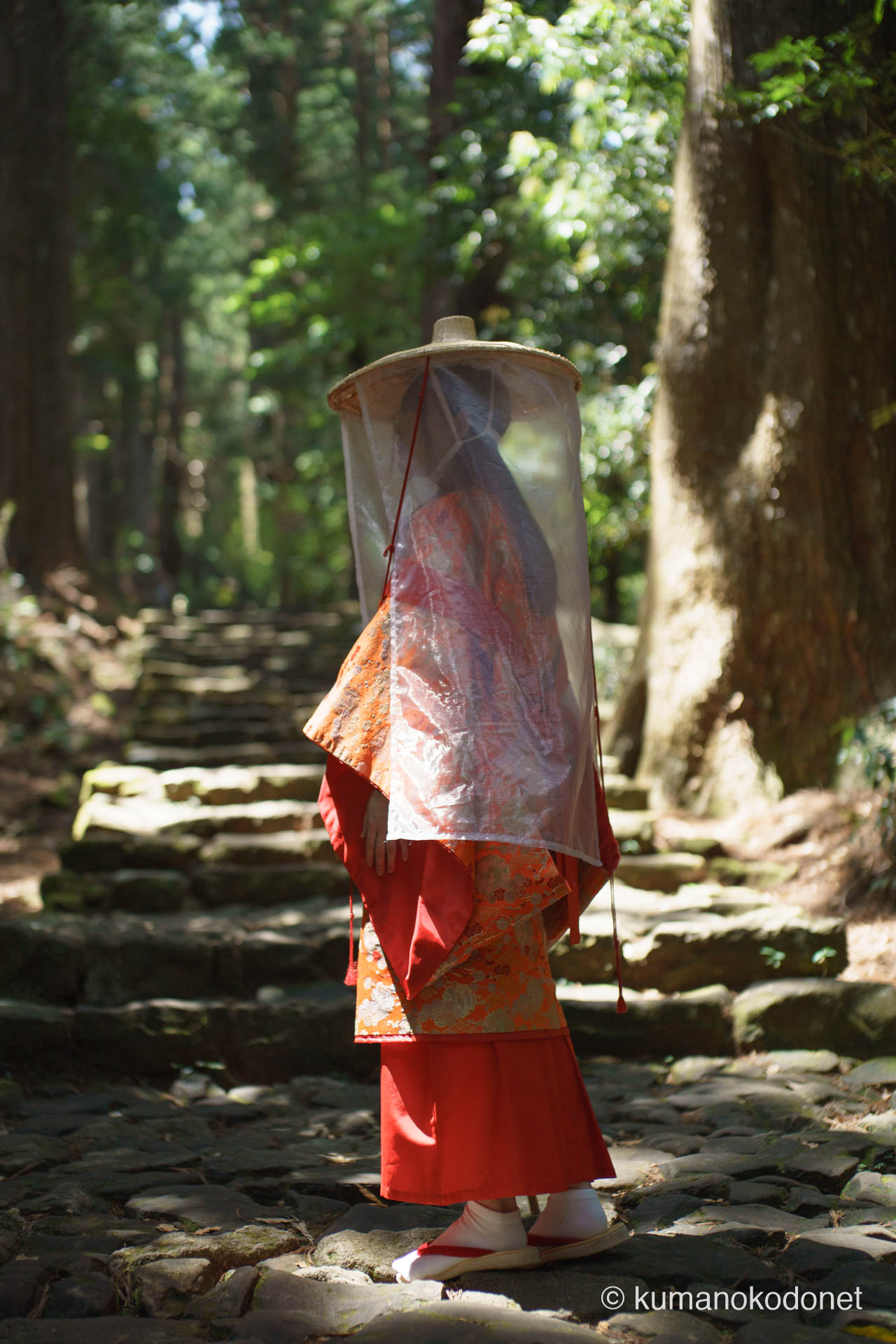 苔むした石畳に佇む平安衣装の女性。森の木漏れ日がヴェールと歴史を美しく浮き彫りにする。| Daimonzaka, Nachikatsuura, Wakayama | SONY α7 | 2025