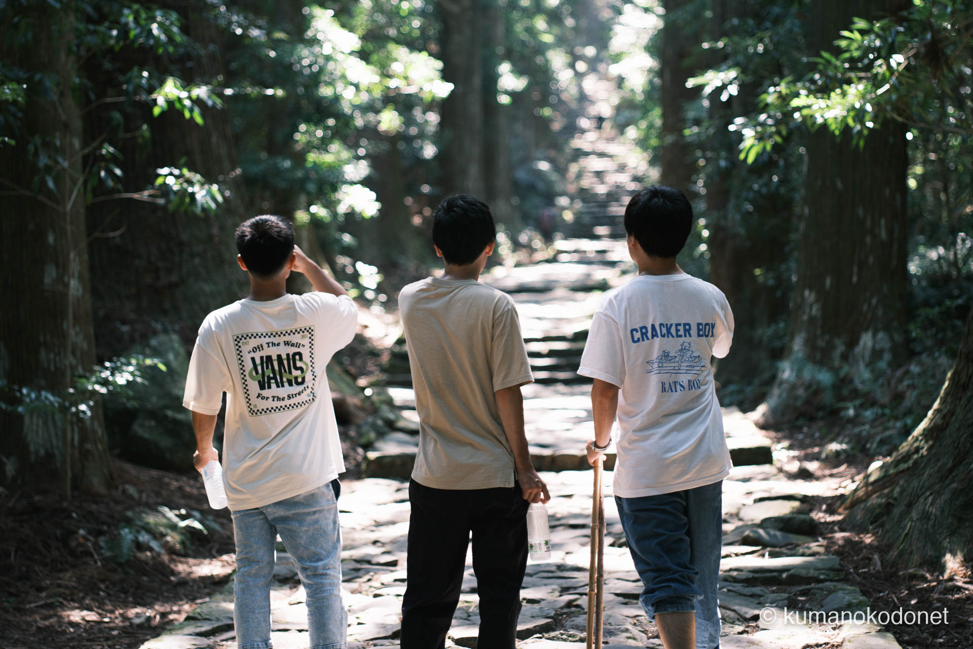 大門坂の杉林をスマホで撮影する観光客。ジブリの世界を彷彿とさせる光景。| Daimonzaka, Nachikatsuura, Wakayama | FUJIFILM GFX Classic Neg. | 2025