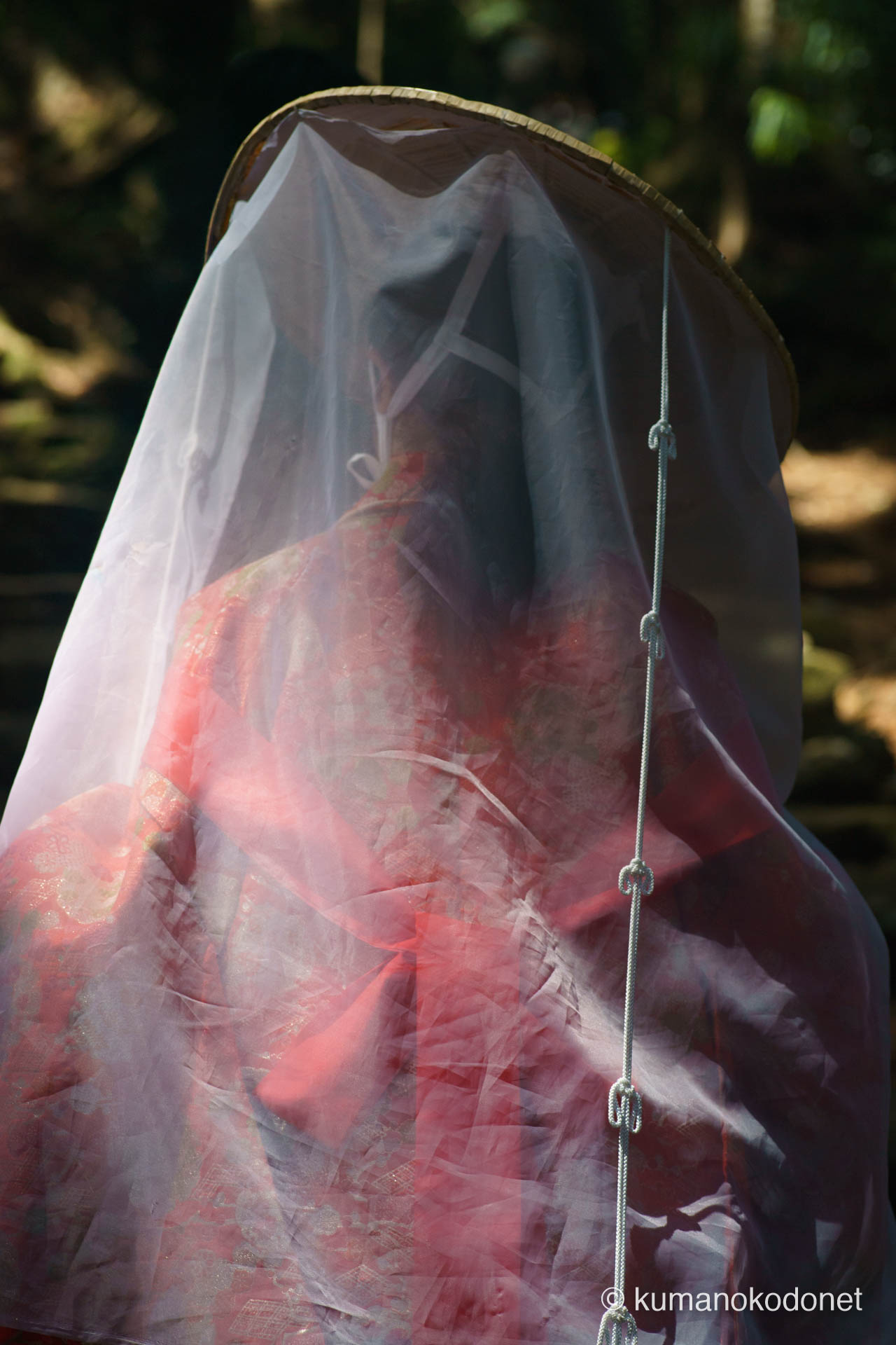 逆光に白く発光するベール。光の粒子が凛とした佇まいを包み込む。那智勝浦町にて。 | Daimonzaka, Nachikatsuura, Wakayama | SONY α7 | 2025