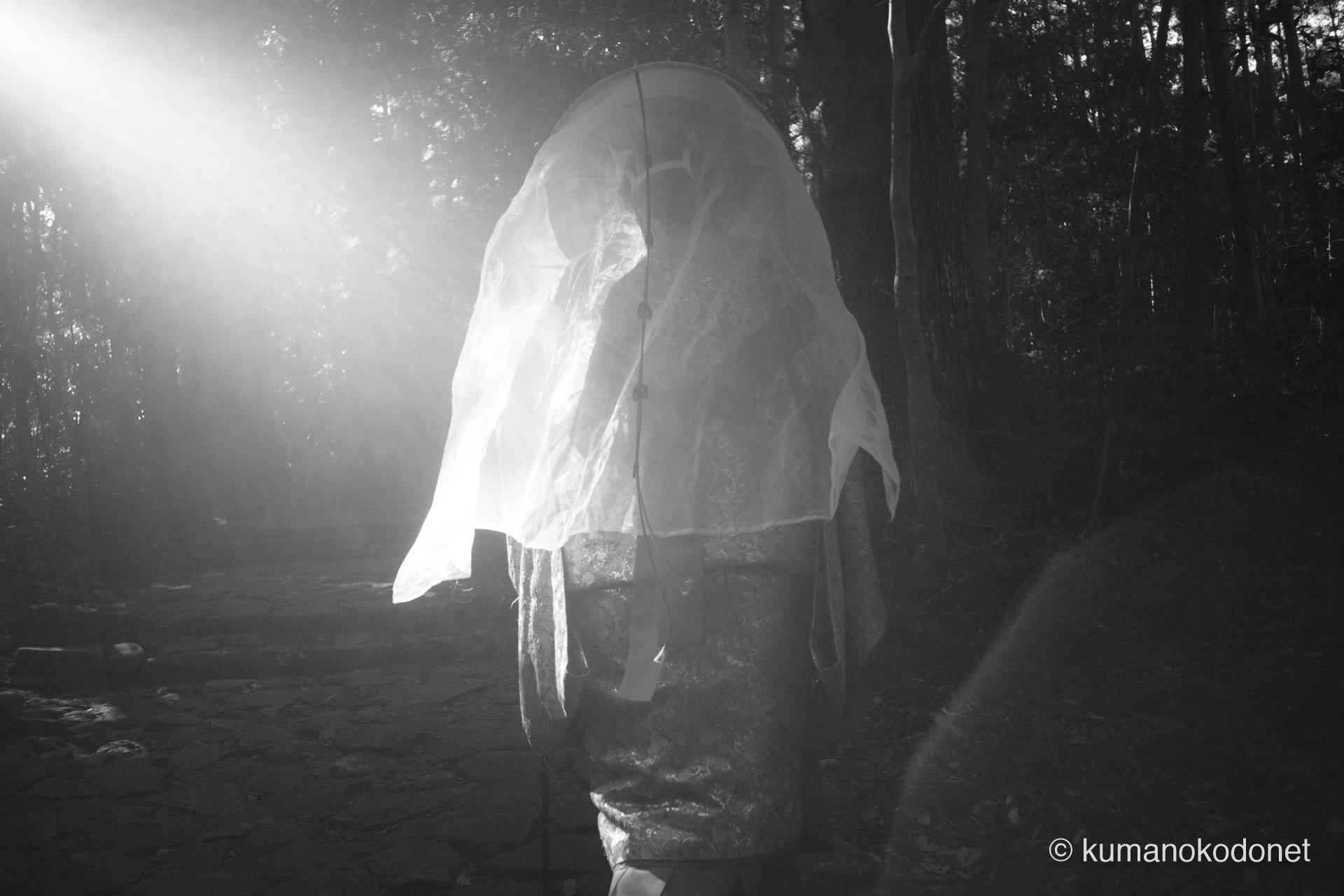 ベールを透かし差し込む逆光の光芒。静謐な巡礼風景を光と影で深く刻んだ。那智勝浦町にて。 | Daimonzaka, Nachikatsuura, Wakayama | SONY α7 | 2025
