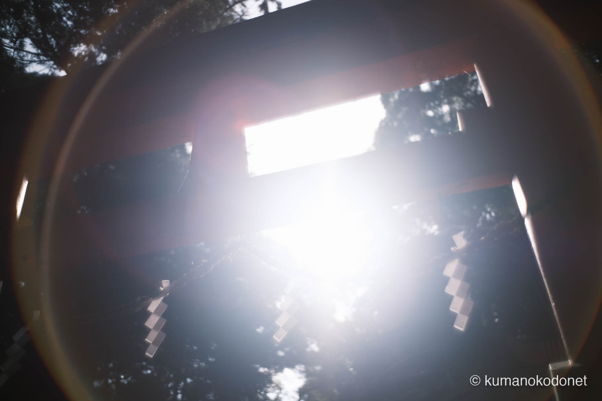 頂上の鳥居を包み込む、強烈な後光。熊野権現降臨の地を象徴する光の演出。｜ Kamikura Jinja, Shingu, Wakayama ｜ FUJIFILM GFX Classic Neg. ｜ 2026