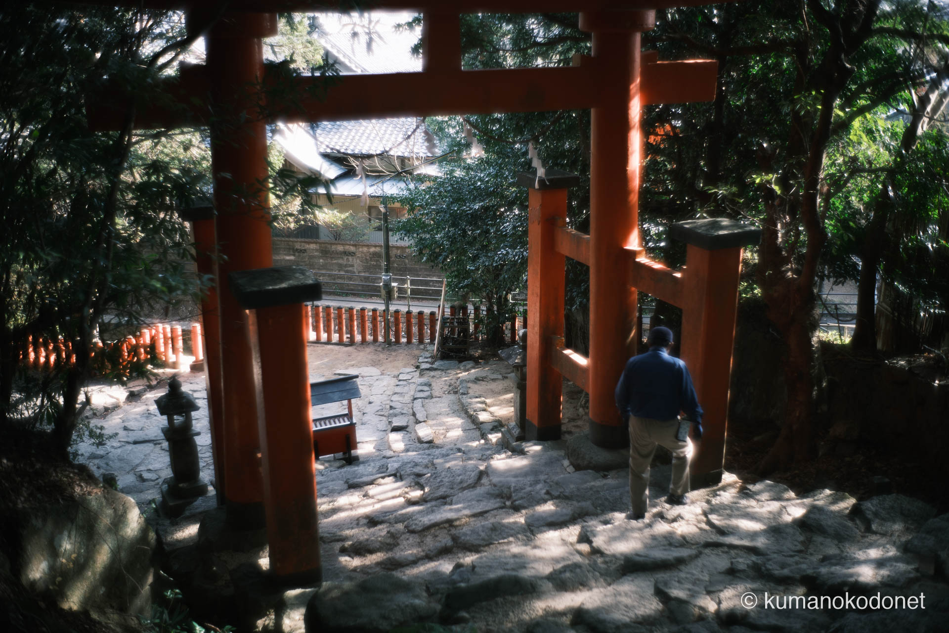 参拝を終え、麓の出口へと戻る。日常の景色へと繋がる最後の鳥居。｜ Kamikura Jinja, Shingu, Wakayama ｜ FUJIFILM GFX Classic Neg. ｜ 2026