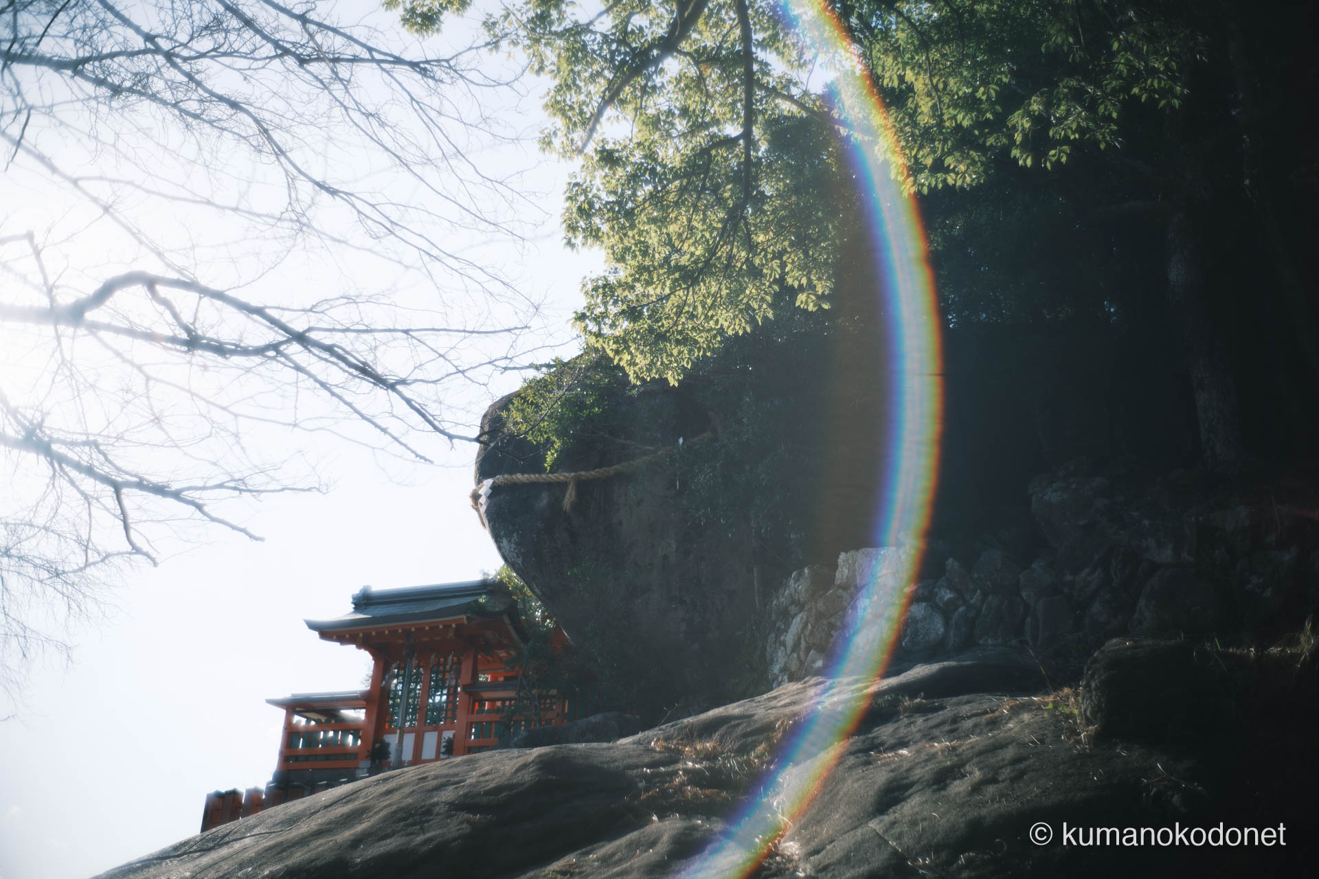 御神体ゴトビキ岩と社殿。光の輪が寄り添うように現れた、幻想的な聖域の姿。新宮市にて。 | Kamikura Jinja, Shingu, Wakayama | GFX Classic Neg. | 2026