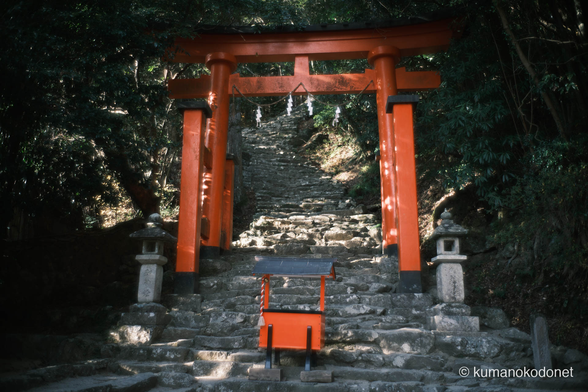 538段の石段への入り口に立つ朱色の鳥居。聖域と日常を分かつ静かな境界線。新宮市にて。 | Kamikura Jinja, Shingu, Wakayama | GFX Classic Neg. | 2026