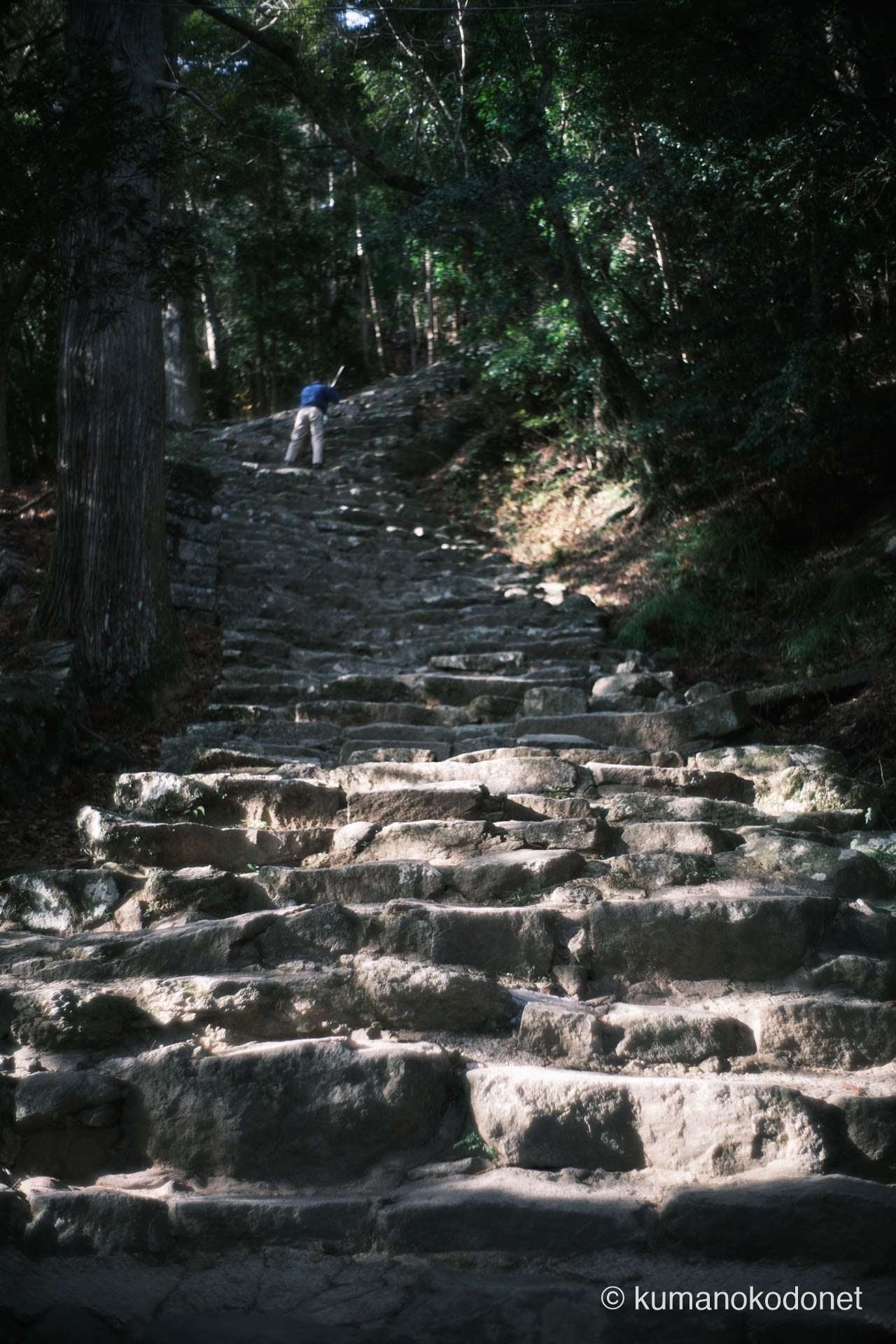 見上げるほどに急峻な石段の始まり。源頼朝の寄進と伝わる538段の威圧感。｜ Kamikura Jinja, Shingu, Wakayama ｜ FUJIFILM GFX Classic Neg. ｜ 2026