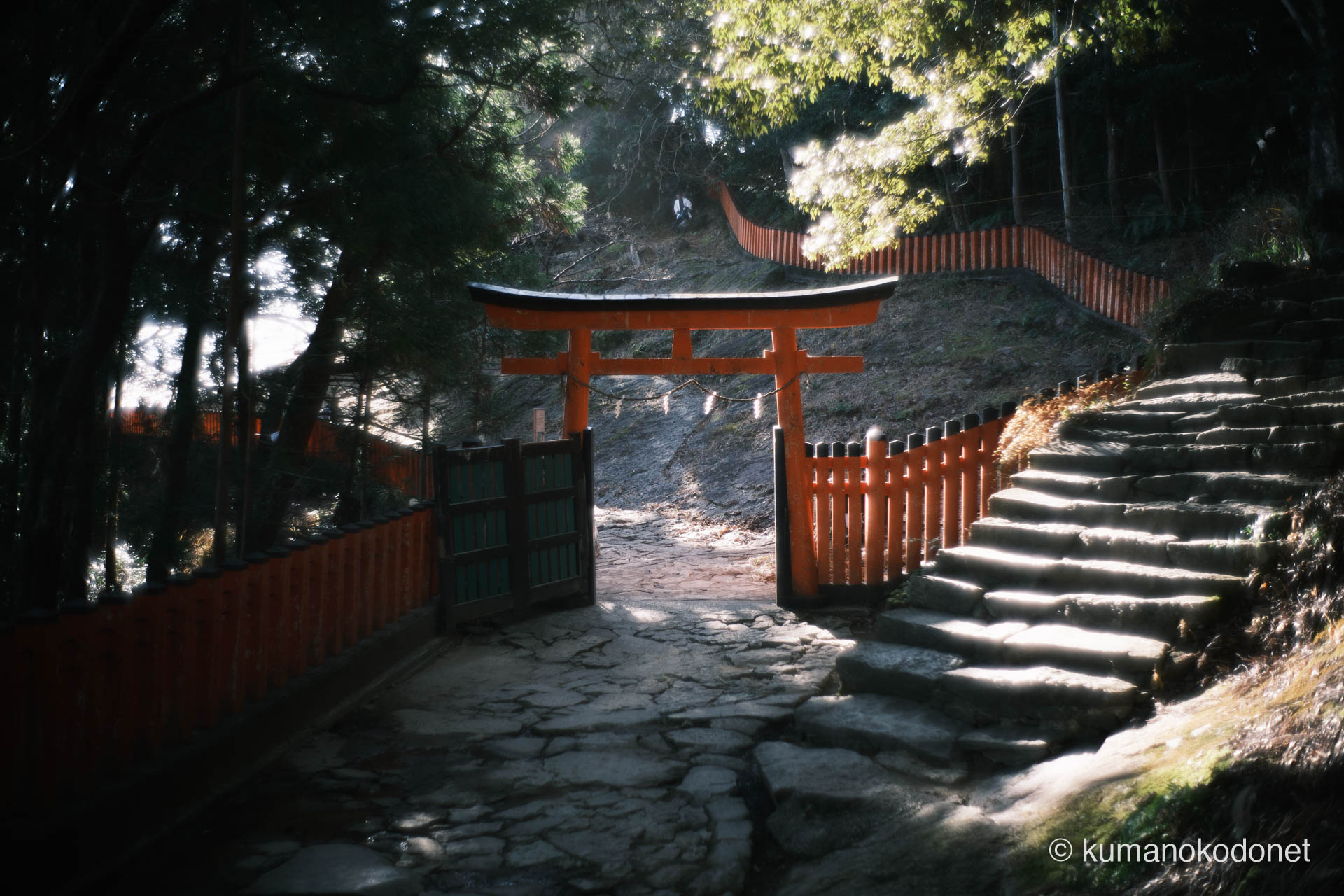 石段を登り切った山頂の鳥居