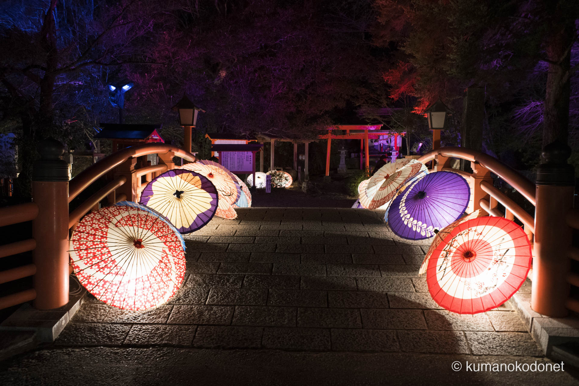 和傘が連なる幻想的なライトアップ。昼間とは異なる表情を見せる神域の記録。｜ Kamikura Jinja, Shingu, Wakayama ｜ SONY α7 ｜ 2025