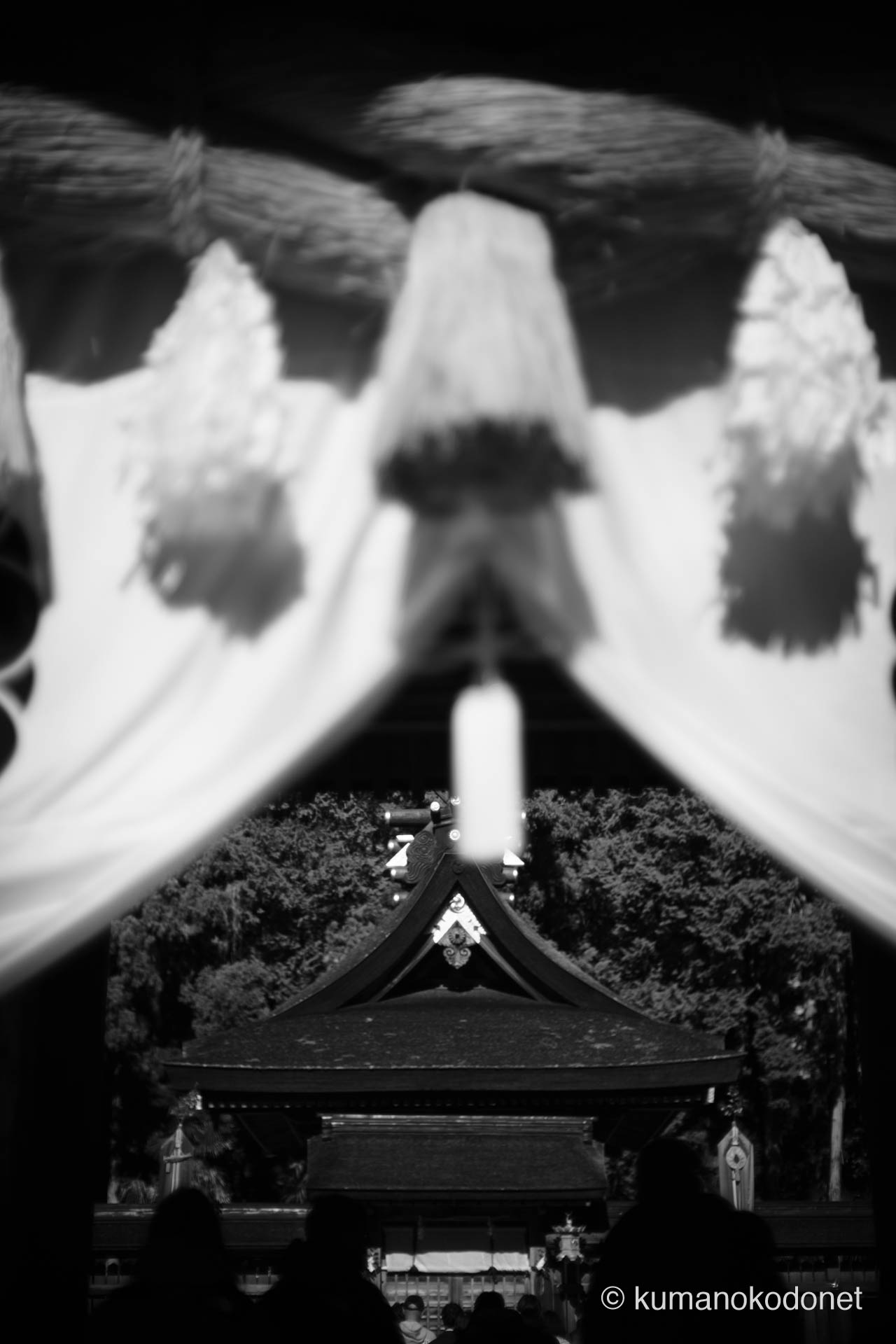 熊野本宮大社の社殿を捉えたモノクロームの一枚。色を排したことで際立つ、聖域の厳かな静寂。| Kumano Hongu Taisha, Tanabe, Wakayama | SONY α7 | 2026