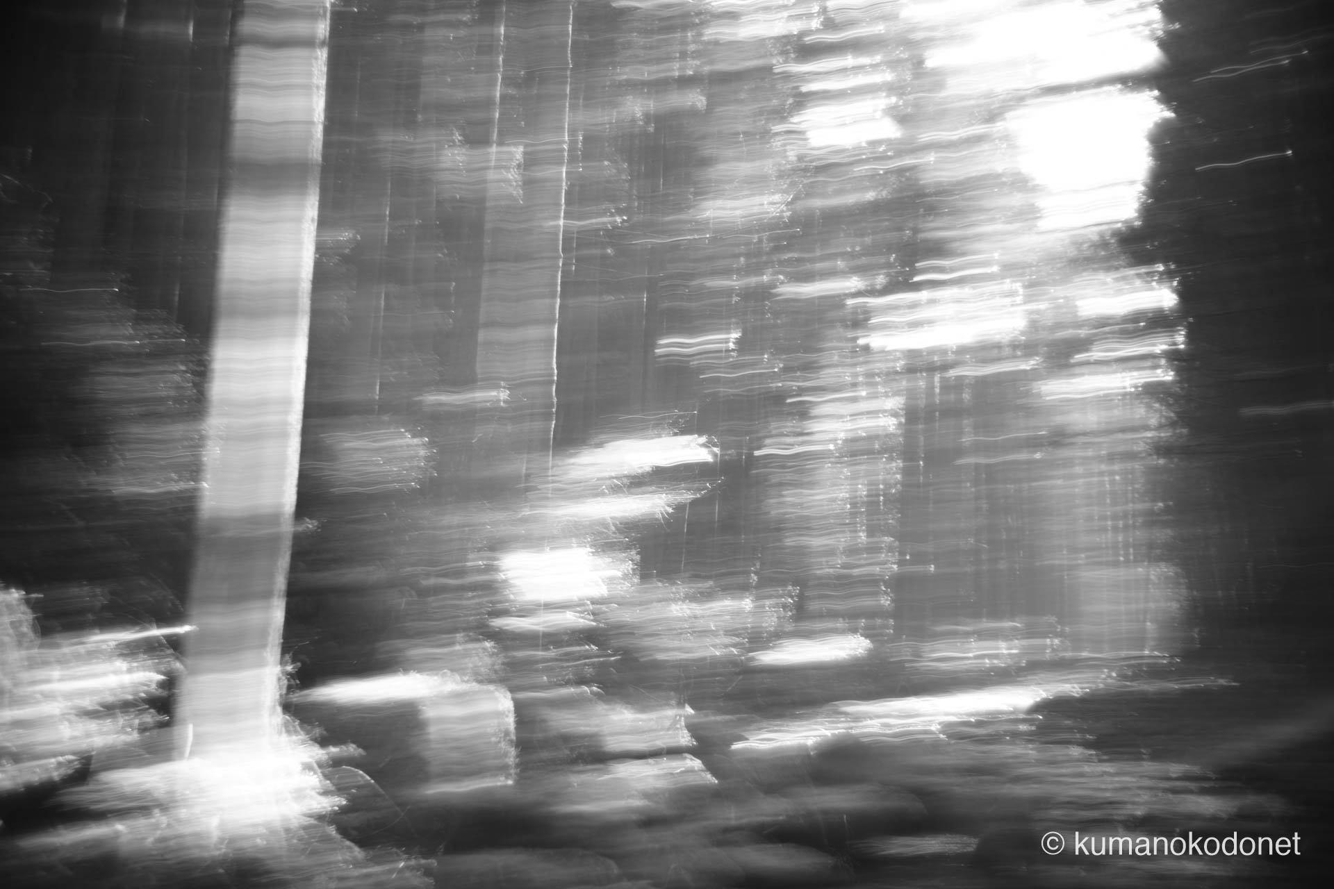 スローシャッターで捉えた桑ノ木渓谷の抽象写真。和歌山の森の精霊を追求した表現。| Kuwanoki Valley, Shingu, Wakayama | SONY α7 Monochrome | 2026