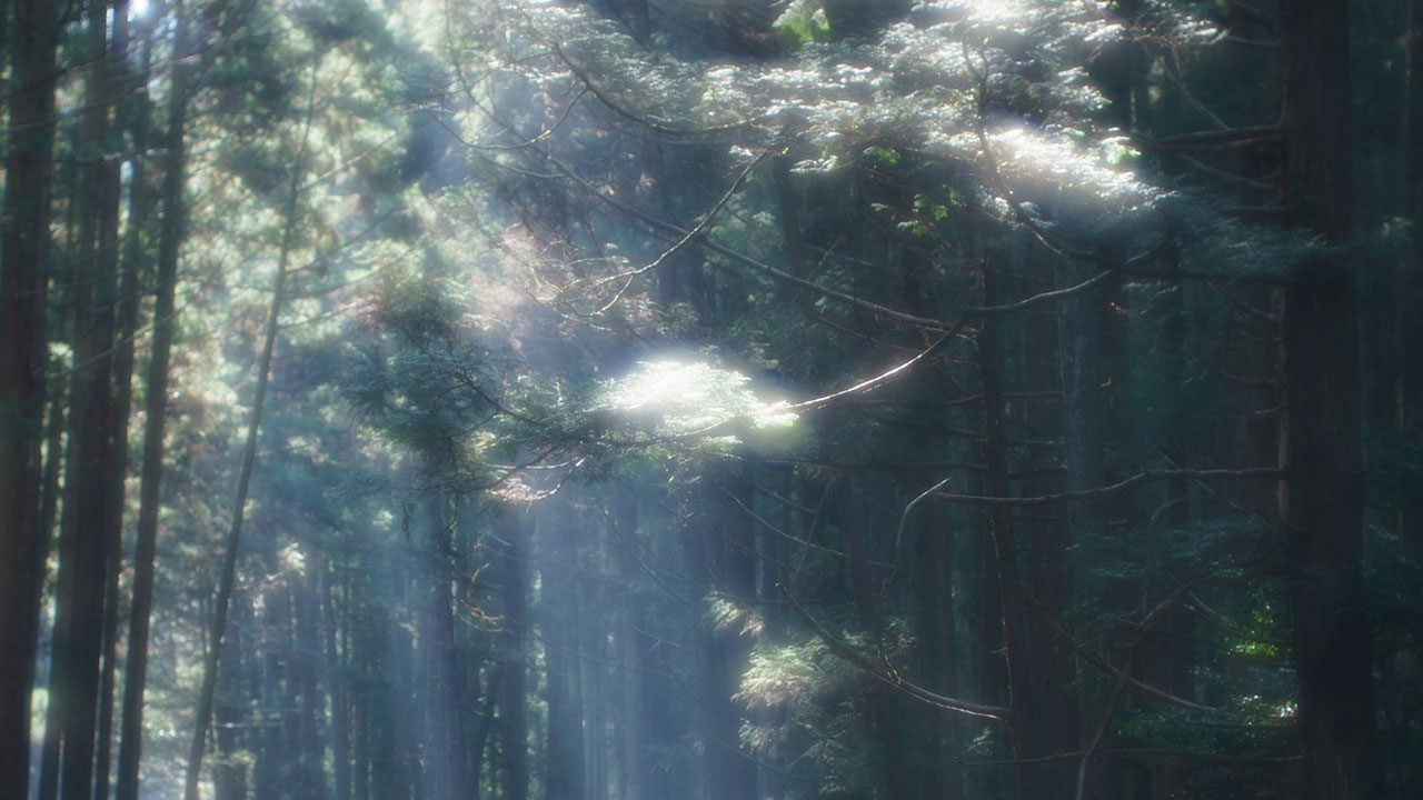 桑ノ木渓谷 ｜ 和歌山県新宮市 ｜ 木々の隙間から差し込む光芒と渓流 ｜ 2026 ｜ KVA