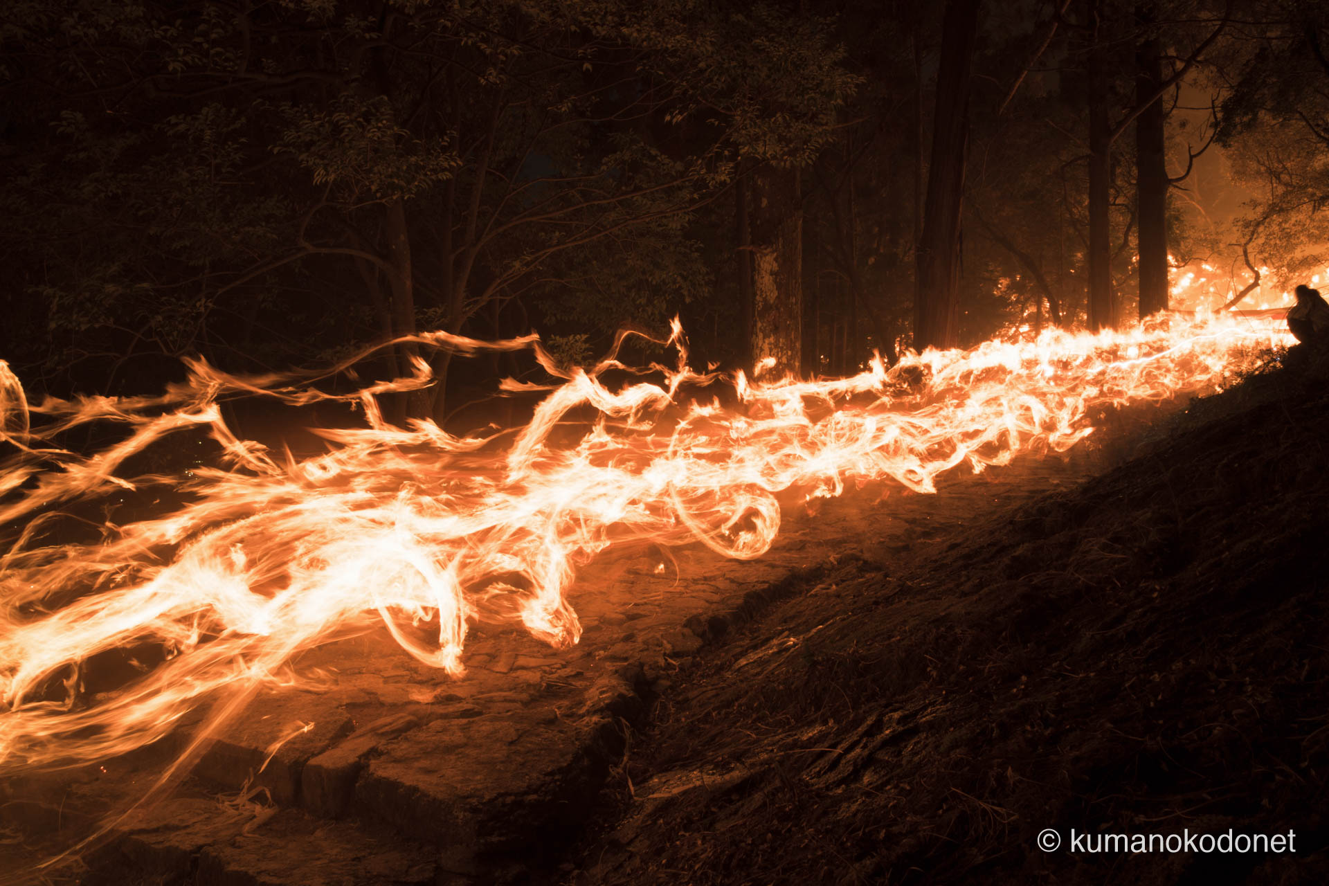 火の粉を散らし、怒涛の勢いで石段を下る上り子たちの奔流。生命の躍動が溢れる火の祭り。｜ Kamikura Jinja, Shingu, Wakayama ｜ SONY α7 ｜ 2024