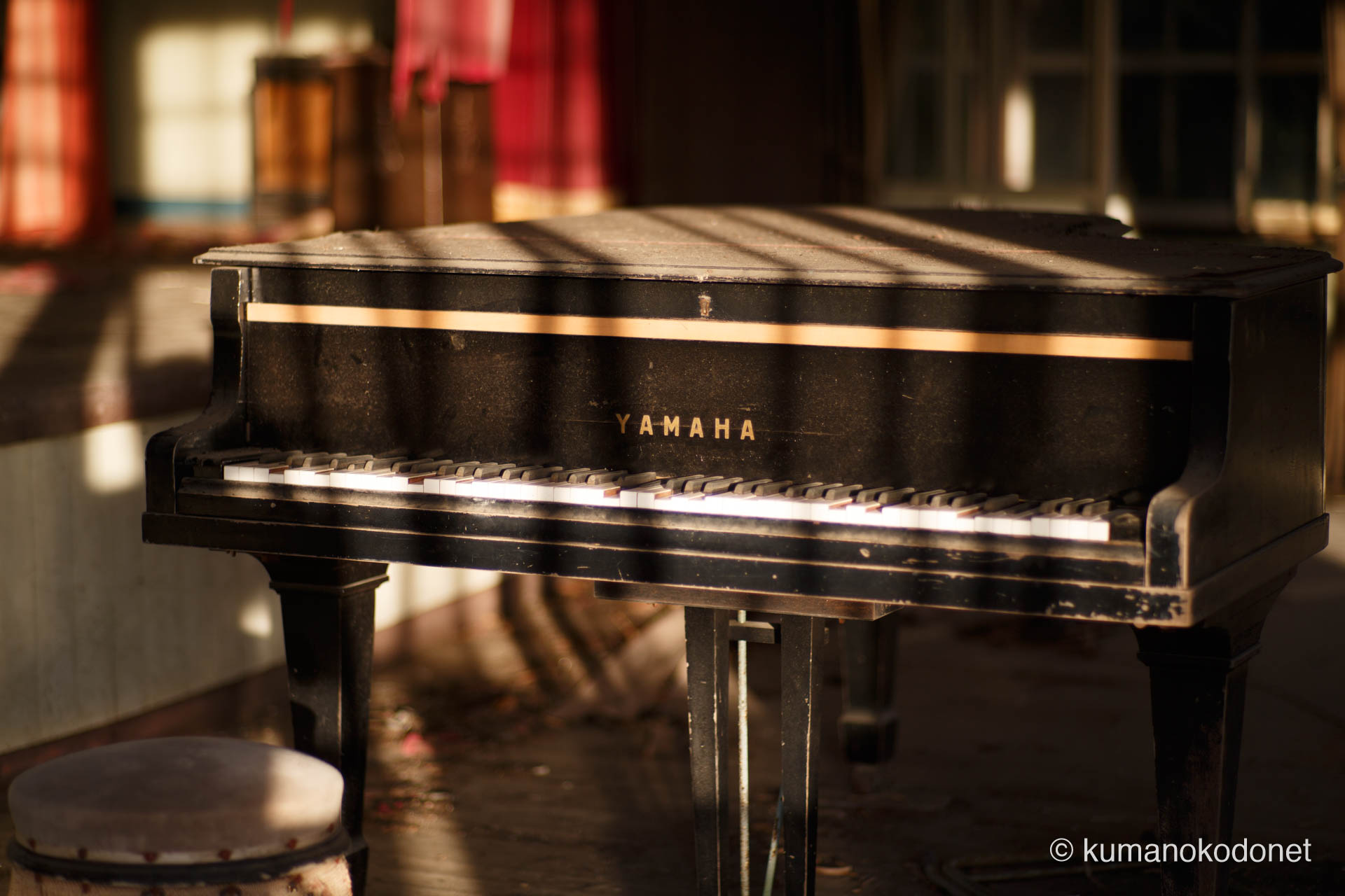 廃校に残されたグランドピアノの鍵盤と、格子窓から差し込む斜光