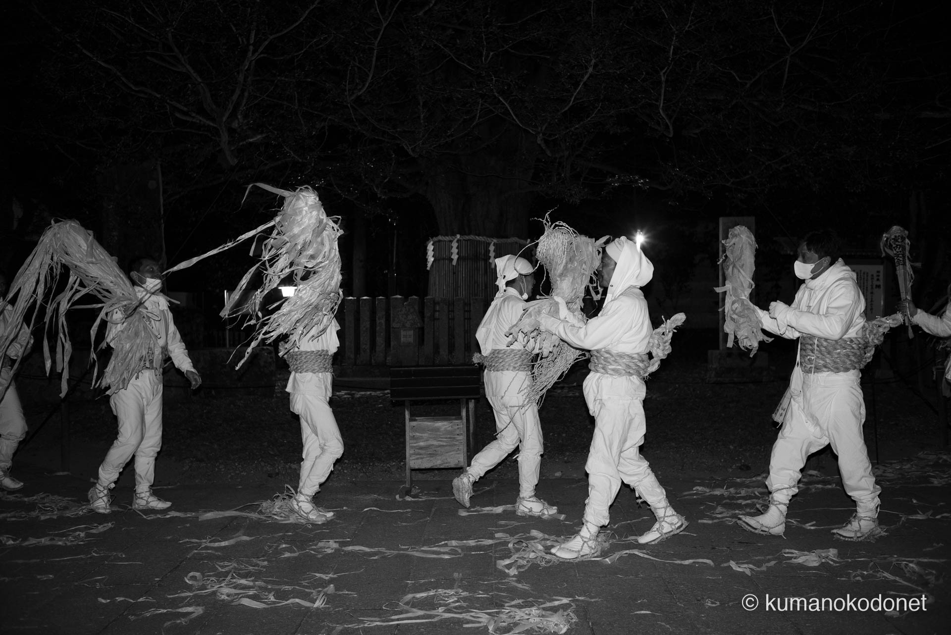 熊野速玉大社の御神木「梛（なぎ）」の巨木を背に、闇の中で松明を突き合わせ、静かに魂を共鳴させる上り子たちの姿。モノクロの光影が、古から続く自然への畏敬と、神事に向かう男たちの硬質な覚悟を浮き彫りにする、深遠な夜の情景。 ｜ Kumano Hayatama Taisha, Shingu, Wakayama ｜ SONY α7 ｜ 2026