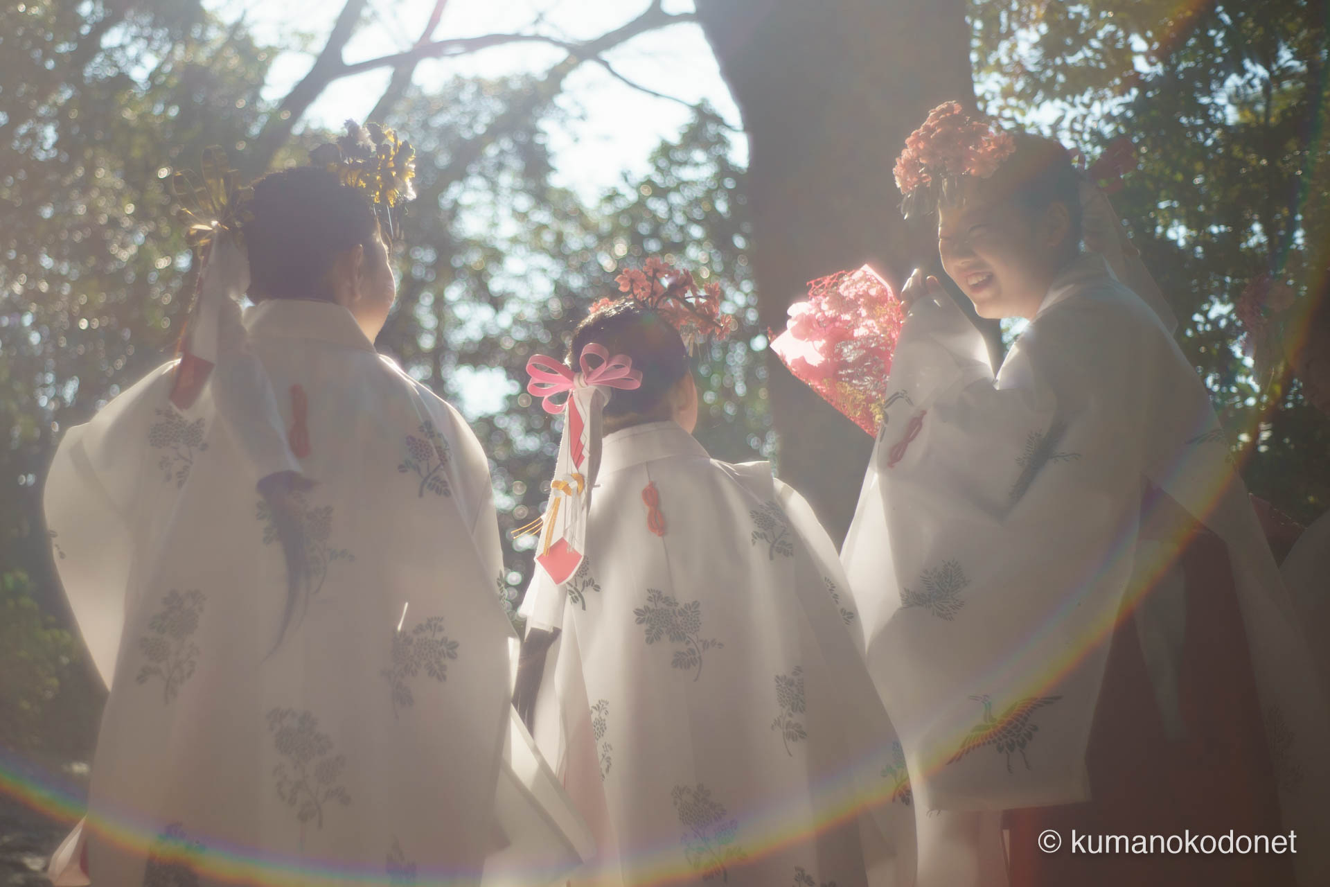 花の窟神社 お綱掛け神事 ｜ 三重県熊野市 ｜ 逆光の中で撮影された巫女の表情の記録 ｜ 2026 ｜ KVA