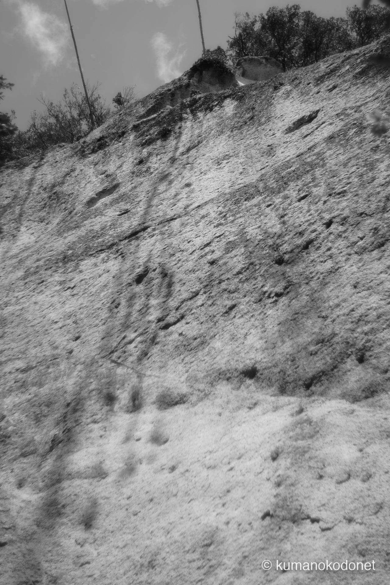 花の窟神社 お綱掛け神事 ｜ 三重県熊野市 ｜ 御神体の岩肌に投影された三流の幡の影 ｜ 2026 ｜ KVA