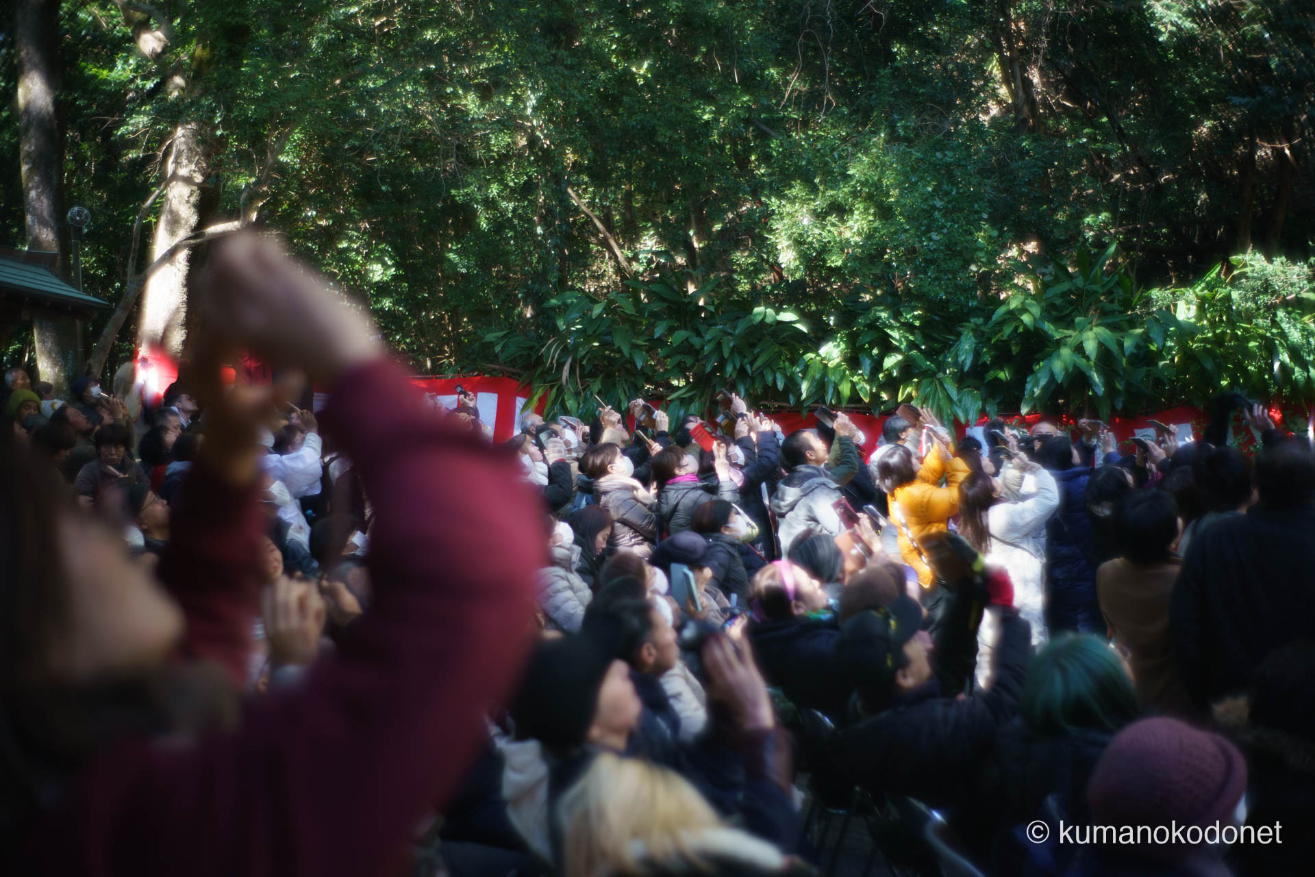 花の窟神社 お綱掛け神事 ｜ 三重県熊野市 ｜ 天空から降りてくるお綱を見上げる参拝客 ｜ 2026 ｜ KVA
