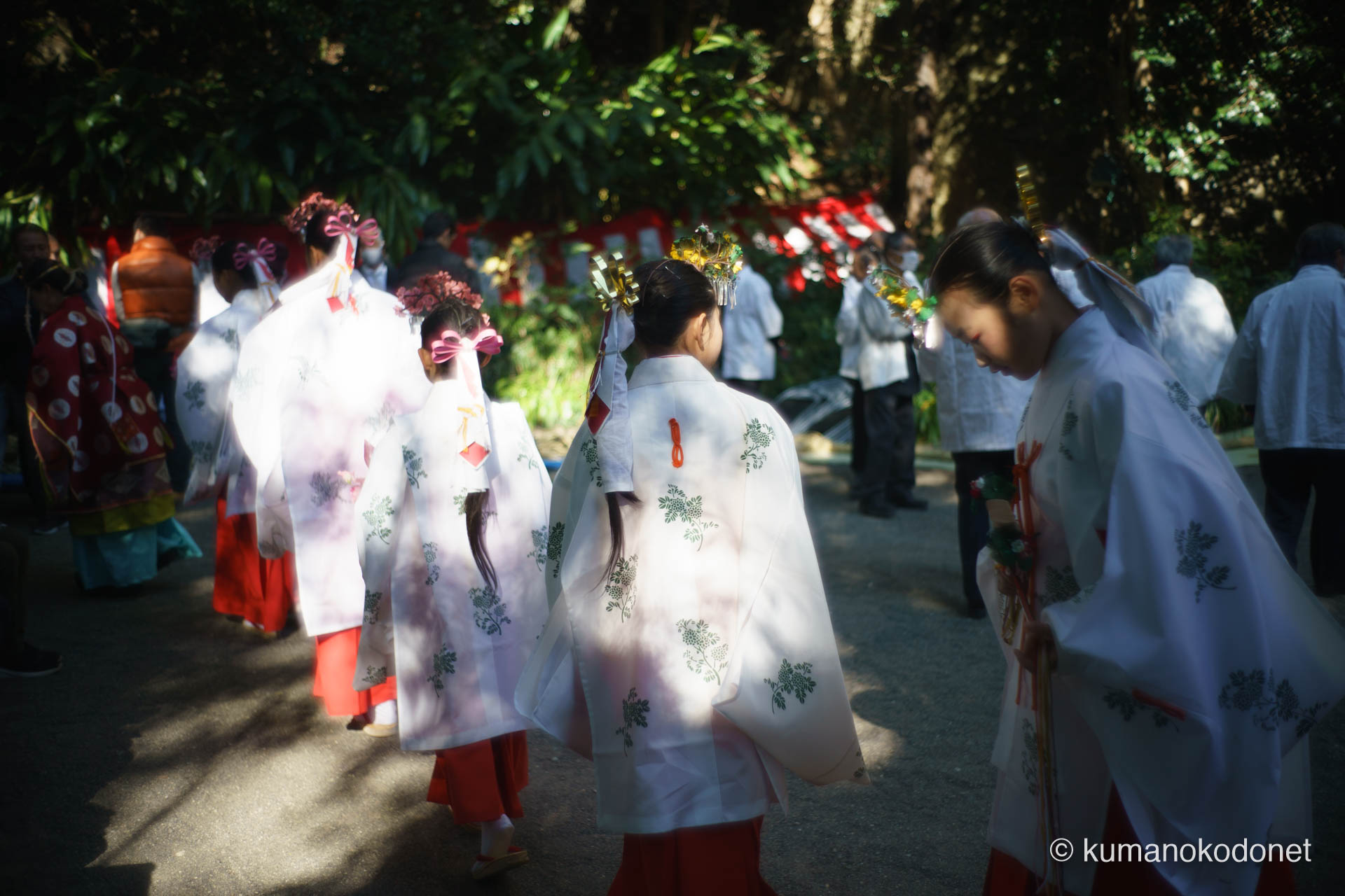 花の窟神社 お綱掛け神事 ｜ 三重県熊野市 ｜ 境内を移動する巫女たちの後ろ姿 ｜ 2026 ｜ KVA
