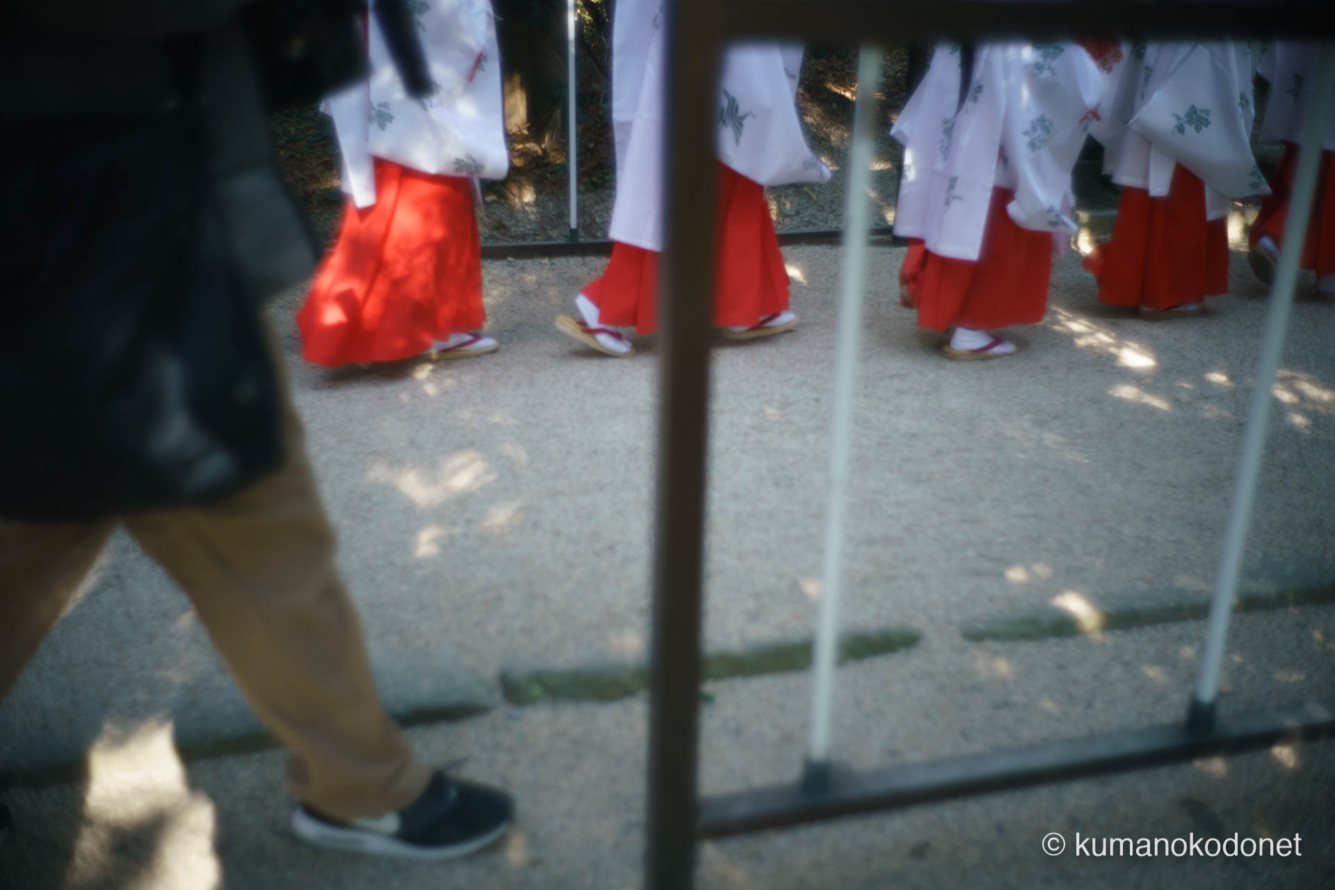 参道を歩む巫女たちの足元と、それを見守る参拝客の足元が交差する瞬間。2月2日の春季例大祭、境内を埋め尽くす人々の熱気と神聖な行列の歩みを捉えた記録。| Hananoiwaya Jinja, Arima, Kumano, Mie | SONY α7 | 2026