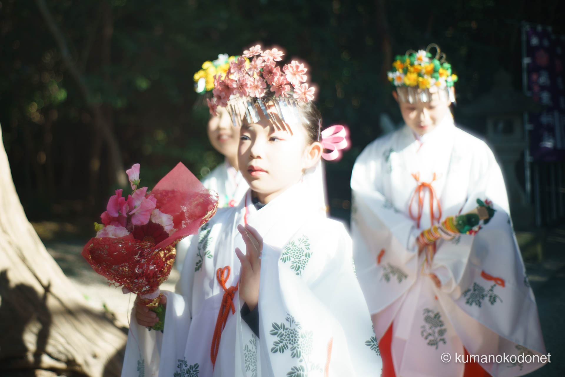 寒椿の花束を手に持ち、真っ直ぐな眼差しで歩む巫女。冬の柔らかな陽光が、緋袴と白衣を纏う彼女の凛とした表情を優しく照らし出す。| Hananoiwaya Jinja, Arima, Kumano, Mie | SONY α7 | 2026