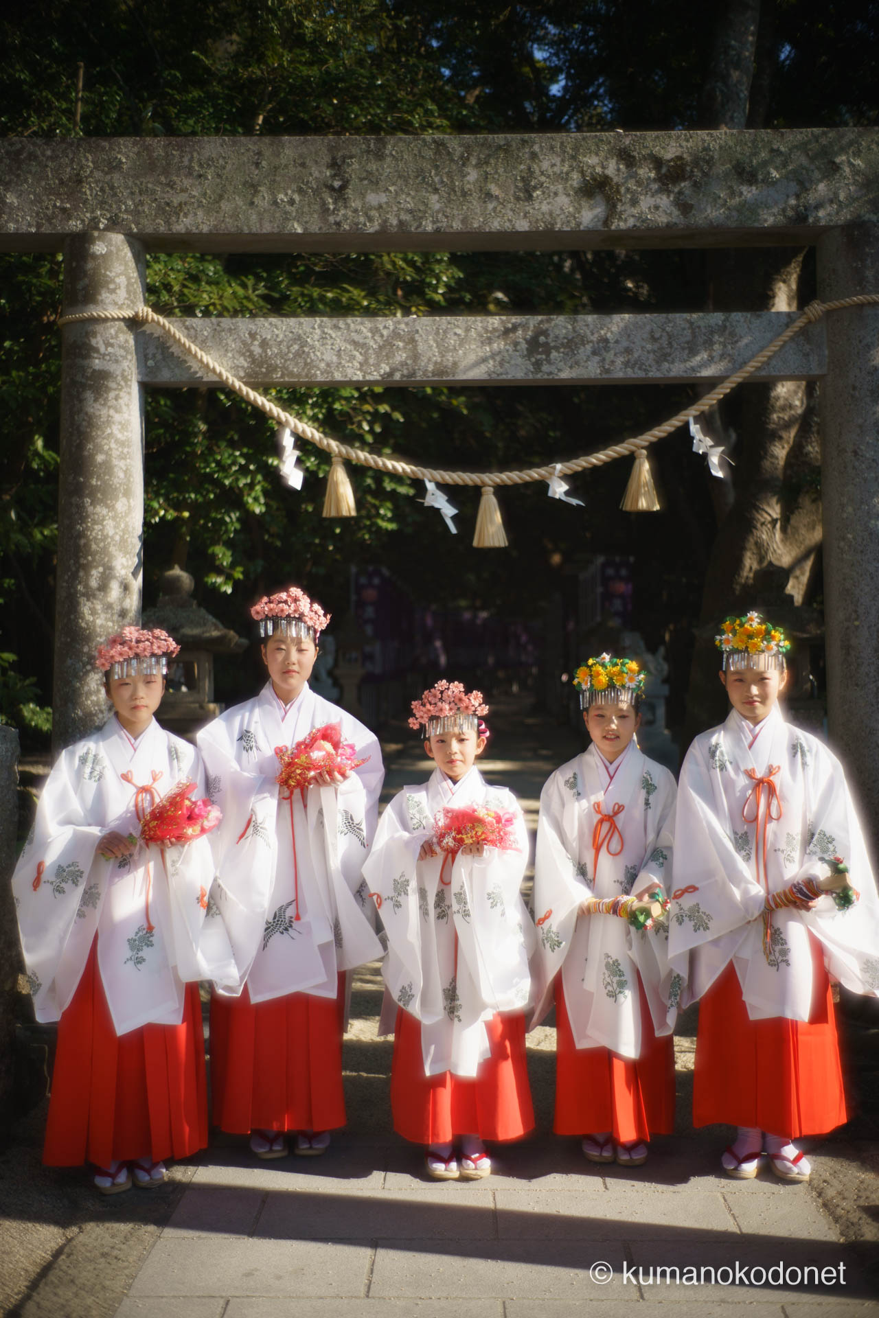 花の窟神社の鳥居を背に整列した五人の巫女。寒椿の鮮やかな赤と、歴史あるお綱掛け神事の清らかな空気感を醸し出す象徴的な一枚。| Hananoiwaya Jinja, Arima, Kumano, Mie | SONY α7 | 2026
