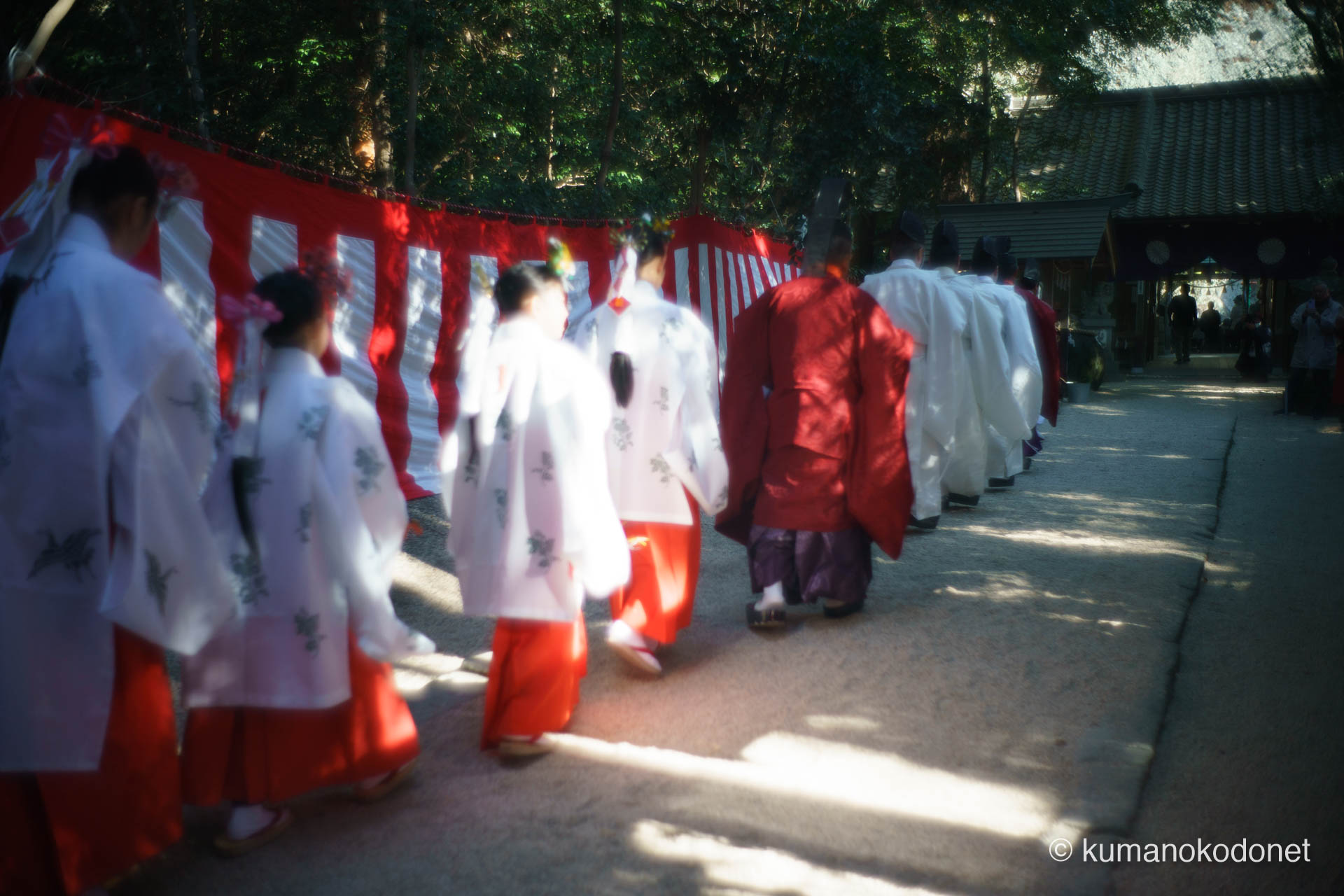 花の窟神社 お綱掛け神事 ｜ 三重県熊野市 ｜ 木漏れ日の参道を進む神職と巫女の行列 ｜ 2026 ｜ KVA