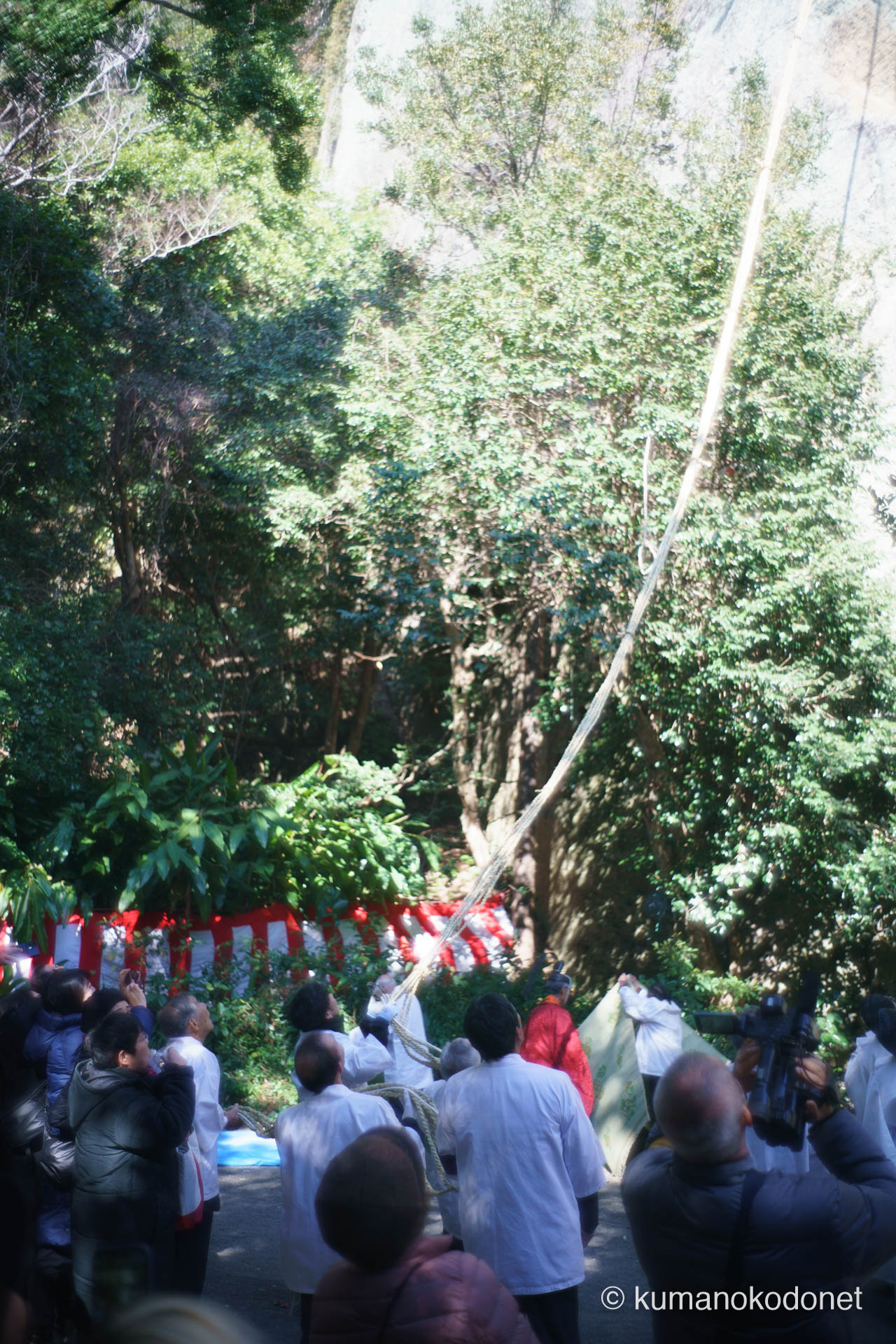 花の窟神社 お綱掛け神事 ｜ 三重県熊野市 ｜ 降ろされたロープに大綱を結合する氏子たち ｜ 2026 ｜ KVA