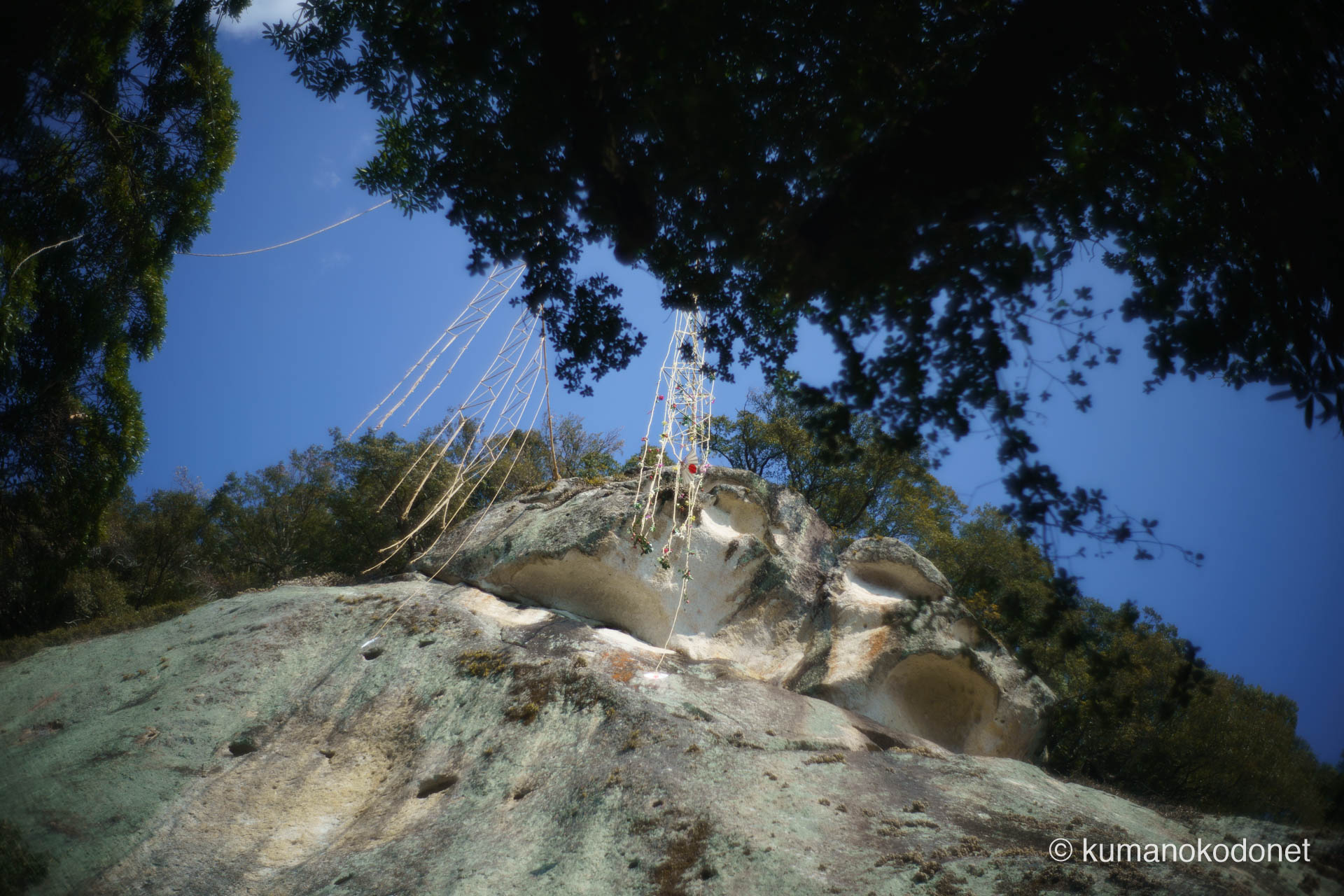 御神体へと繋がるお綱から吊り下げられた、花の装飾が美しい「三流の幡(みながれのはた)」。三柱の神を象徴する三本の旗縄が熊野の風に揺れる、花の窟神社お綱掛け神事の核心的な光景。| Hananoiwaya Jinja, Arima, Kumano, Mie | SONY α7 | 2026
