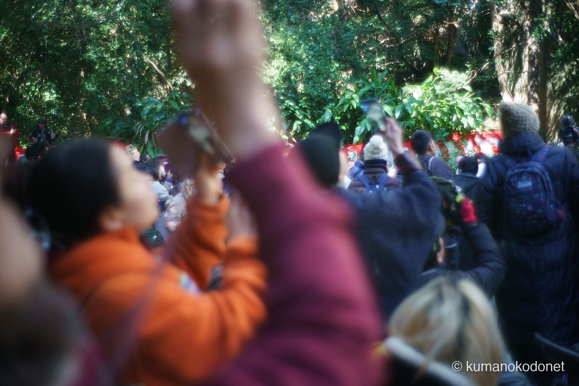 スマートフォンを構えて、天空から舞い降りる巨綱の動きを捉えようとする群衆。神事の本格的な動きを前に、境内全体が静かな興奮と期待感に包まれる光景。| Hananoiwaya Jinja, Arima, Kumano, Mie | SONY α7 | 2026