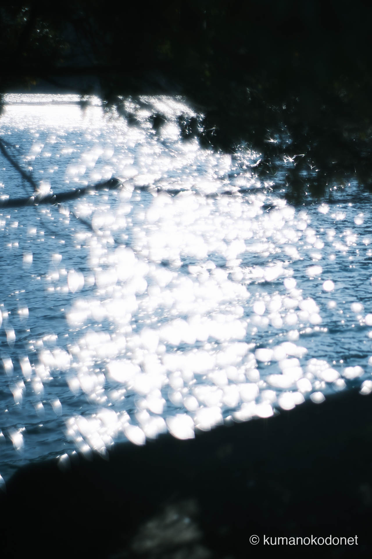 九鬼町 ｜ 三重県尾鷲市 ｜ 穏やかな九鬼湾の海面に反射する太陽光 ｜ 2026 ｜ KVA