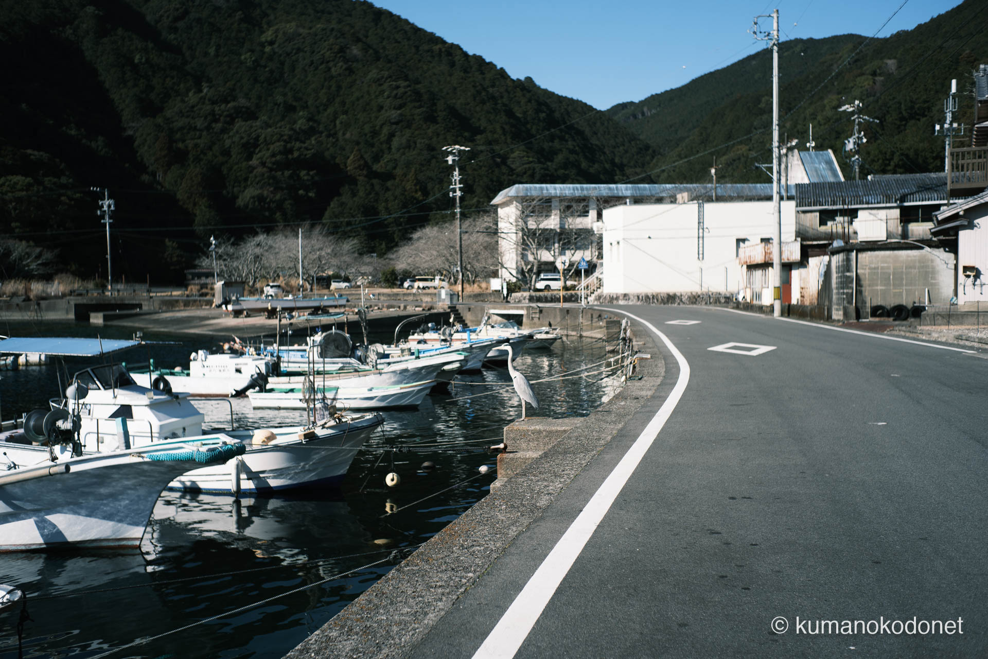 係留された船と一羽のアオサギ。ガードレールのない曲線道路が描く、静かな営みを記録。｜ Kuki, Owase, Mie ｜ FUJIFILM GFX Classic Neg. ｜ 2026
