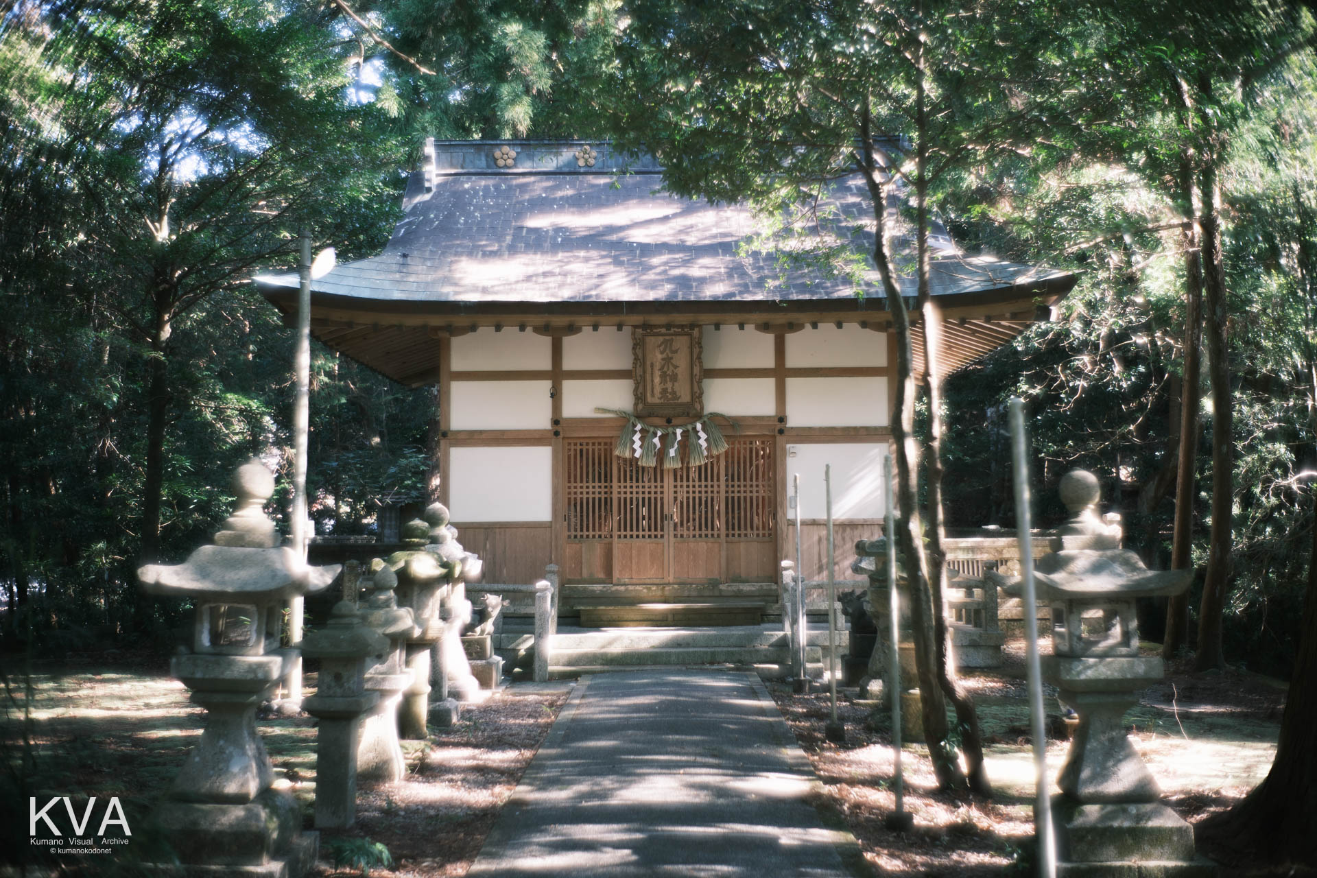 国指定天然記念物九木神社樹叢に包まれた本殿