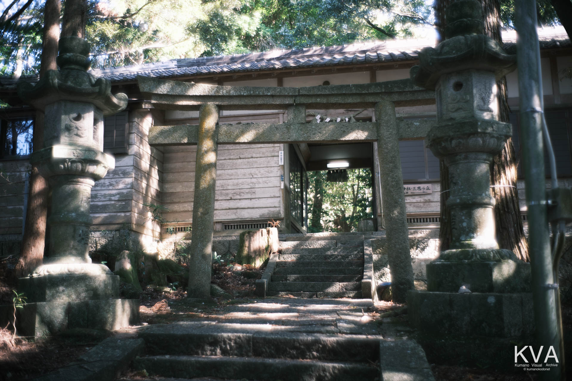 苔むした石灯籠と原生林に包まれた社殿