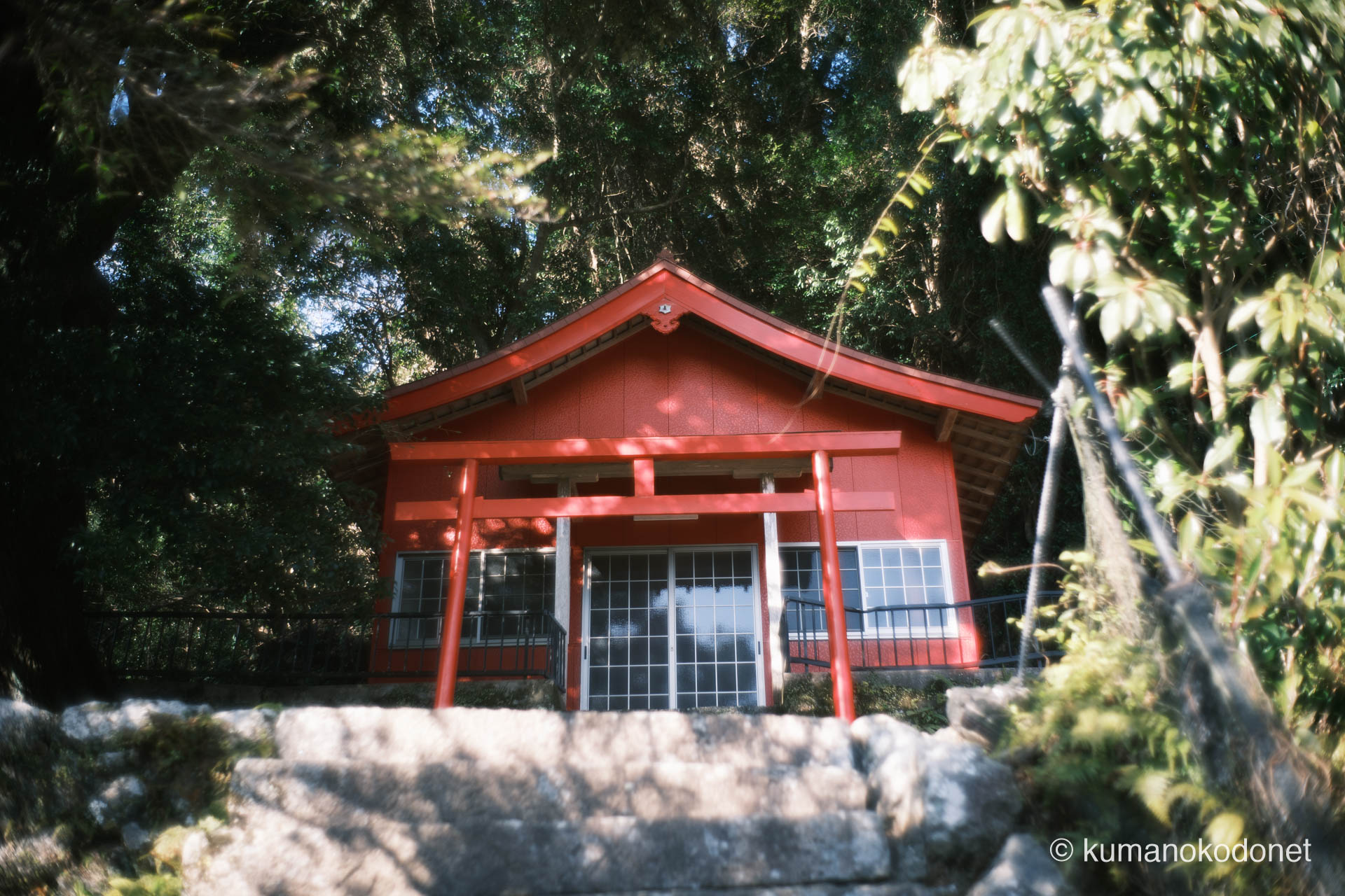 真巌寺の奥深くに鎮座する真っ赤な社。生い茂る木々に包まれながらも、圧倒的な存在感を放つ神域の光景。｜ Kuki, Owase, Mie ｜ FUJIFILM GFX Classic Neg. ｜ 2026
