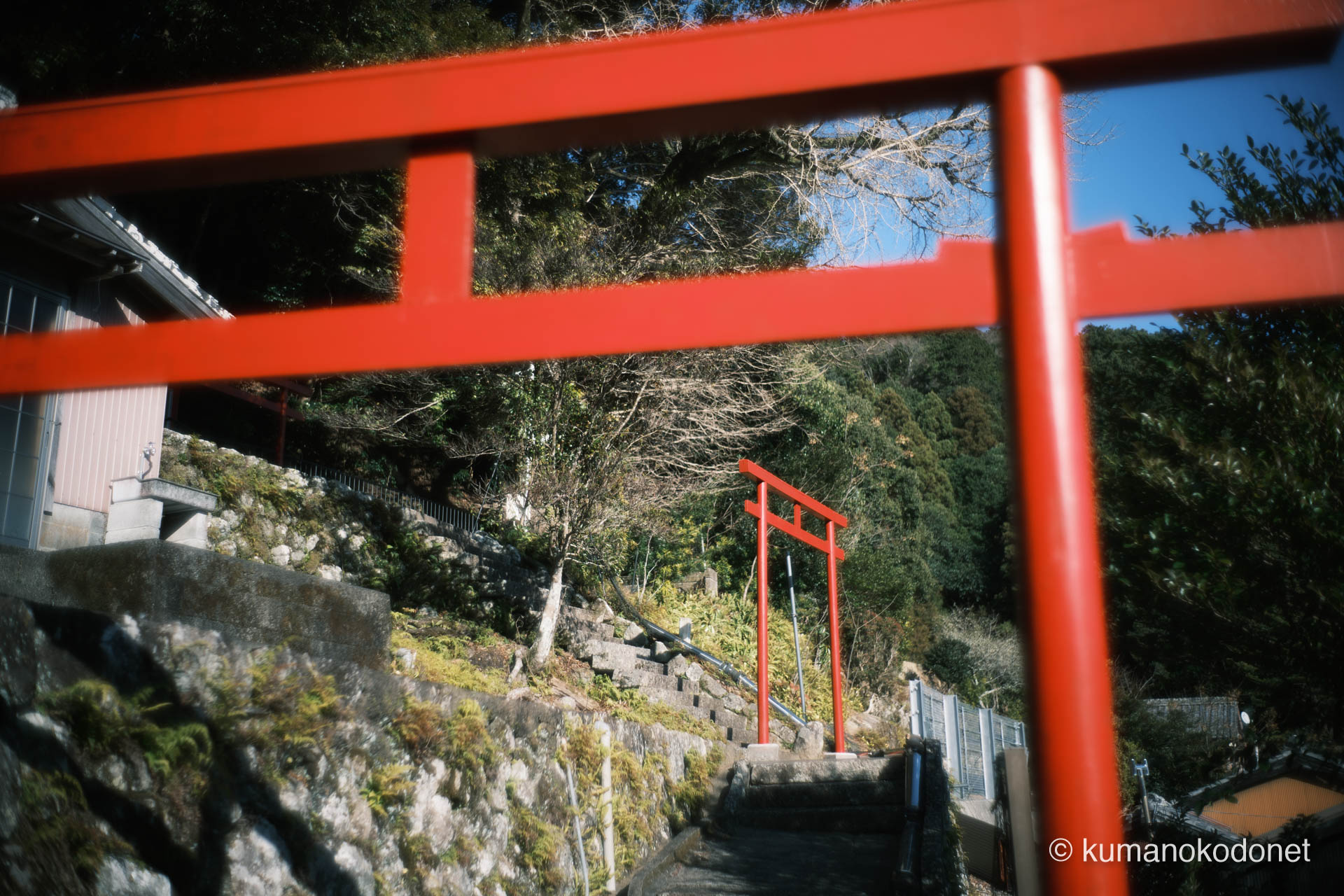 真巌寺の山肌に沿って並び立つ朱色の鳥居。青空と緑の山々に映える鮮やかな赤が、聖域への道を指し示している。｜ Kuki, Owase, Mie ｜ FUJIFILM GFX Classic Neg. ｜ 2026