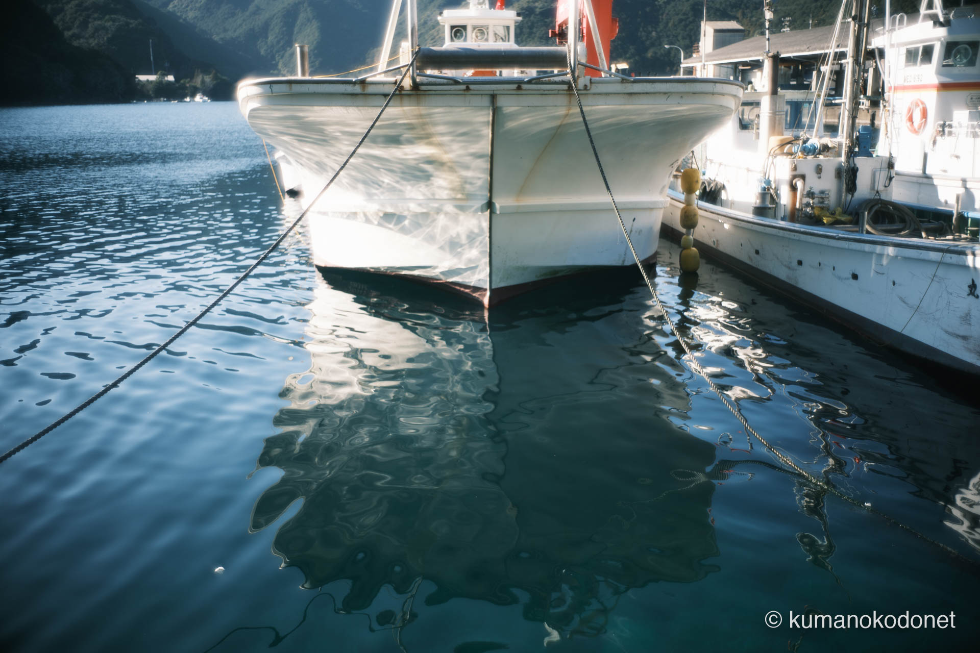 船首に揺らめく水面の照り返し。ガードレールを持たない九鬼の海が足元で息づく。｜ Kuki, Owase, Mie ｜ FUJIFILM GFX Classic Neg. ｜ 2026