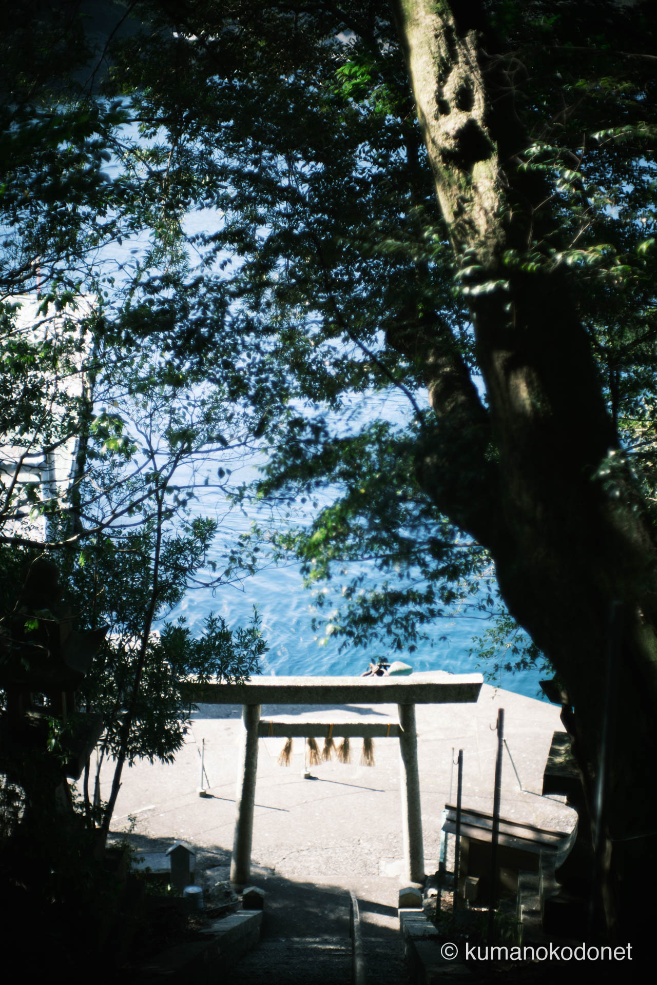 石段の上から鳥居越しに見下ろす九鬼の青。神域と海が一直線に繋がる瞬間を記録。｜ Kuki, Owase, Mie ｜ FUJIFILM GFX Classic Neg. ｜ 2026