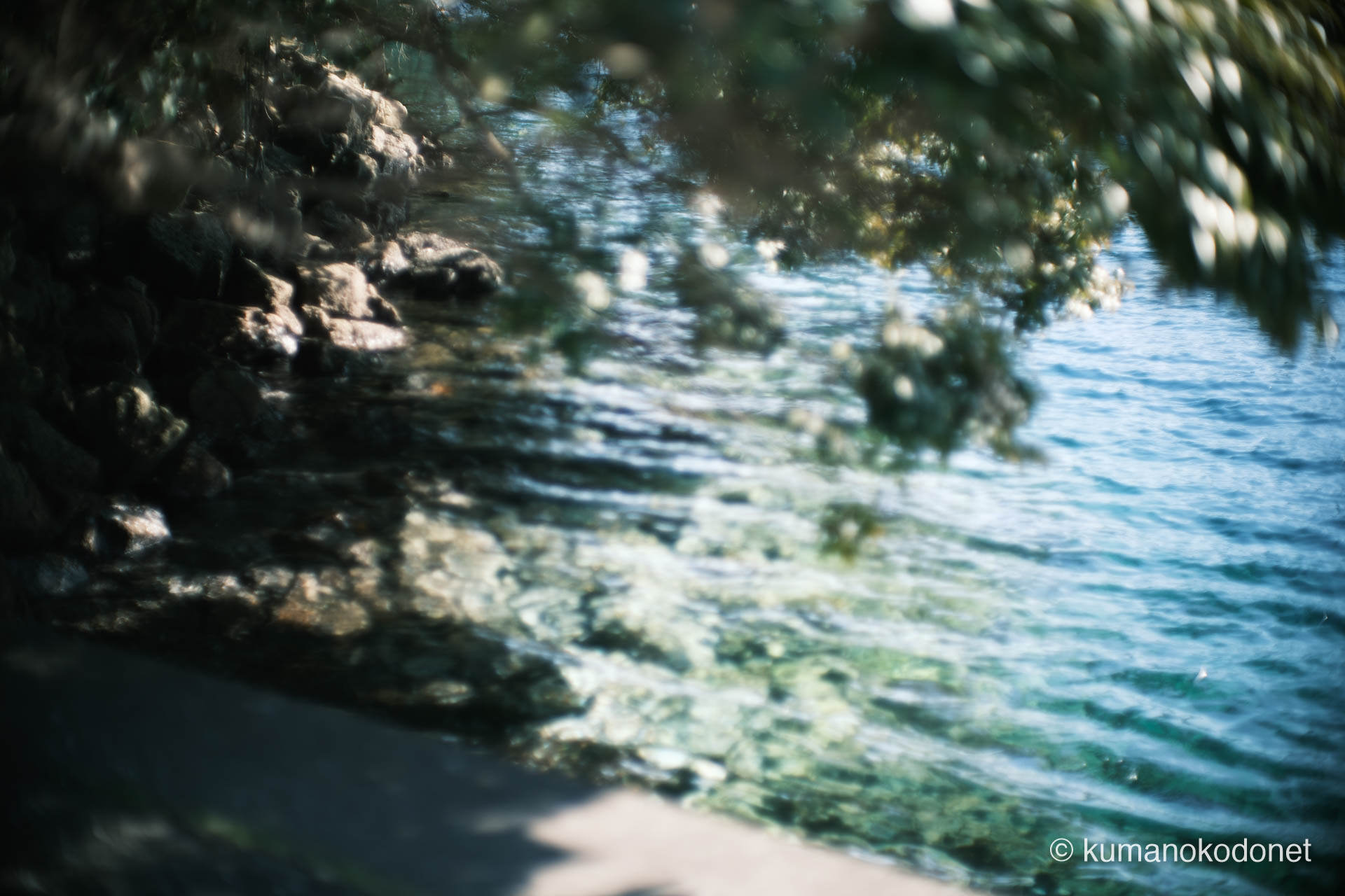 九木神社 ｜ 三重県尾鷲市九鬼町 ｜ 聖域の岩肌を洗う九鬼湾の透明な海水 ｜ 2026 ｜ KVA