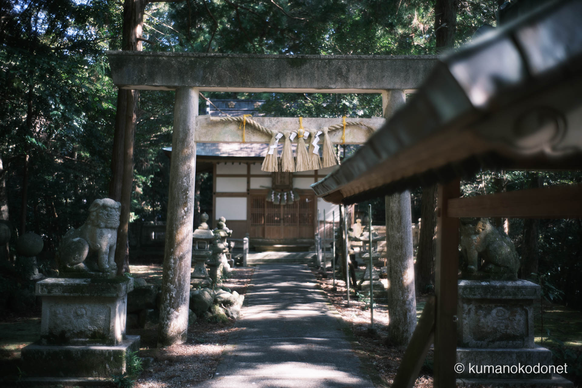九木神社 ｜ 三重県尾鷲市九鬼町 ｜ 参道中央の石鳥居と狛犬が守護する拝殿 ｜ 2026 ｜ KVA